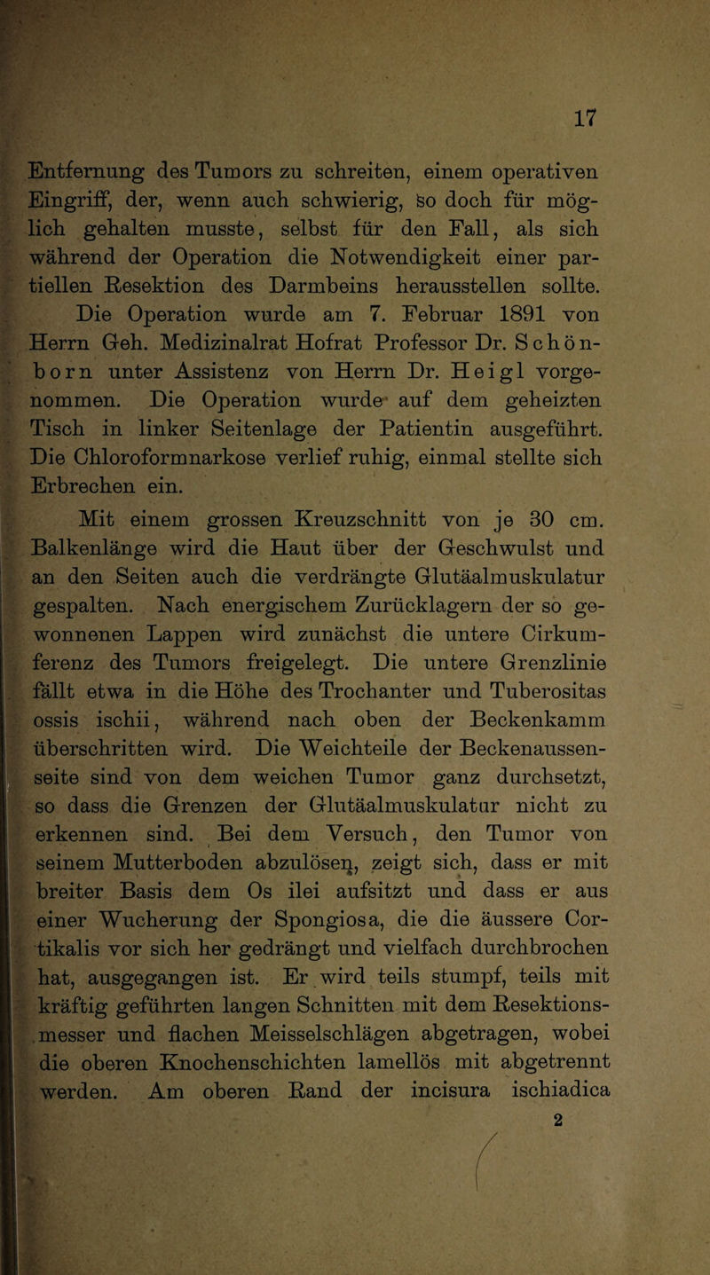 Entfernung des Tumors zu schreiten, einem operativen Eingriff, der, wenn auch schwierig, feo doch für mög¬ lich gehalten musste, selbst für den Fall, als sich während der Operation die Notwendigkeit einer par¬ tiellen Resektion des Darmbeins herausstellen sollte. Die Operation wurde am 7. Februar 1891 von Herrn Geh. Medizinalrat Hofrat Professor Dr. Schön¬ born unter Assistenz von Herrn Dr. H e i g 1 vorge¬ nommen. Die Operation wurde' auf dem geheizten Tisch in linker Seitenlage der Patientin ausgeführt. Die Chloroformnarkose verlief ruhig, einmal stellte sich Erbrechen ein. Mit einem grossen Kreuzschnitt von je 30 cm. Balkenlänge wird die Haut über der Geschwulst und an den Seiten auch die verdrängte Glutäalmuskulatur gespalten. Nach energischem Zurücklagern der so ge¬ wonnenen Lappen wird zunächst die untere Cirkum- ferenz des Tumors freigelegt. Die untere Grenzlinie fällt etwa in die Höhe des Trochanter und Tuberositas ossis ischii, während nach oben der Beckenkamm überschritten wird. Die Weichteile der Beckenaussen- seite sind von dem weichen Tumor ganz durchsetzt, so dass die Grenzen der Glutäalmuskulatur nicht zu erkennen sind. Bei dem Versuch, den Tumor von seinem Mutterboden abzulösen, zeigt sich, dass er mit breiter Basis dem Os ilei aufsitzt und dass er aus einer Wucherung der Spongiosa, die die äussere Cor- tikalis vor sich her gedrängt und vielfach durchbrochen hat, ausgegangen ist. Er wird teils stumpf, teils mit kräftig geführten langen Schnitten mit dem Resektions¬ messer und flachen Meisseischlägen abgetragen, wobei die oberen Knochenschichten lamellös mit abgetrennt werden. Am oberen Rand der incisura ischiadica 2