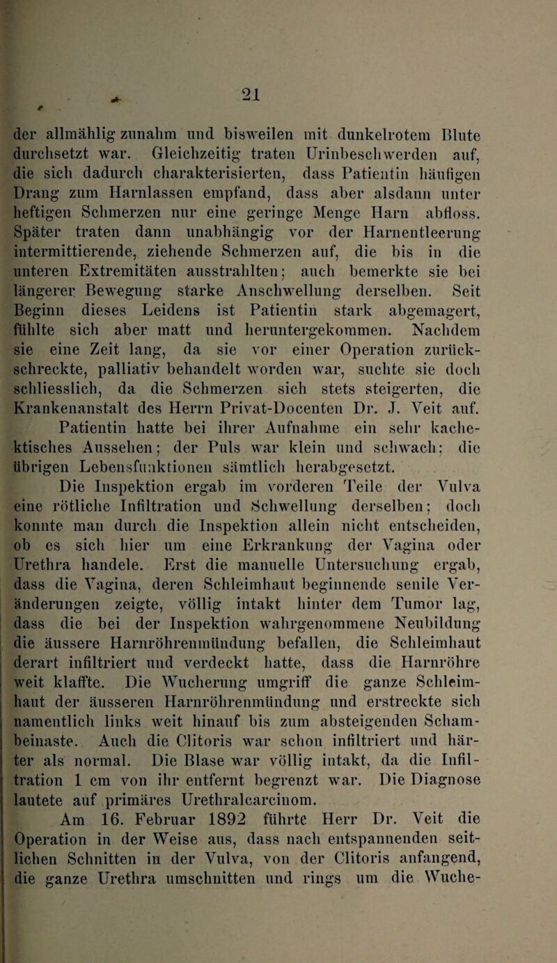der allmählig zunahm und bisweilen mit dunkelrotem Blute durchsetzt war. Gleichzeitig traten Urinbeschwerden auf. die sich dadurch charakterisierten, dass Patientin häufigen Drang zum Harnlassen empfand, dass aber alsdann unter heftigen Schmerzen nur eine geringe Menge Harn abfloss. Später traten dann unabhängig vor der Harnentleerung intermittierende, ziehende Schmerzen auf, die bis in die unteren Extremitäten ausstrahlten; auch bemerkte sie bei längerer Bewegung starke Anschwellung derselben. Seit Beginn dieses Leidens ist Patientin stark abgemagert, fühlte sich aber matt und heruntergekommen. Nachdem sie eine Zeit lang, da sie vor einer Operation zurück¬ schreckte, palliativ behandelt worden war, suchte sie doch schliesslich, da die Schmerzen sich stets steigerten, die Krankenanstalt des Herrn Privat-Doeenten Dr. J. Veit auf. Patientin hatte bei ihrer Aufnahme ein sehr kache- ktisches Aussehen; der Puls war klein und schwach; die übrigen Lebensfimktionen sämtlich herabgesetzt. Die Inspektion ergab im vorderen Teile der Vulva eine rötliche Infiltration und Schwellung derselben; doch konnte man durch die Inspektion allein nicht entscheiden, ob es sich hier um eine Erkrankung der Vagina oder Urethra handele. Erst die manuelle Untersuchung ergab, dass die Vagina, deren Schleimhaut beginnende senile Ver¬ änderungen zeigte, völlig intakt hinter dem Tumor lag, dass die bei der Inspektion wahrgenommene Neubildung die äussere Harnröhrenmündung befallen, die Schleimhaut derart infiltriert und verdeckt hatte, dass die Harnröhre weit klaffte. Die Wucherung umgriff die ganze Schleim¬ haut der äusseren Harnröhrenmündung und erstreckte sich namentlich links weit hinauf bis zum absteigenden Scham¬ beinaste. Auch die Clitoris war schon infiltriert und här¬ ter als normal. Die Blase war völlig intakt, da die Infil¬ tration 1 cm von ihr entfernt begrenzt war. Die Diagnose lautete auf primäres Urethralcarcinom. Am 16. Februar 1892 führte Herr Dr. Veit die Operation in der Weise aus, dass nach entspannenden seit¬ lichen Schnitten in der Vulva, von der Clitoris anfangend, die ganze Urethra Umschnitten und rings um die Wuclie-