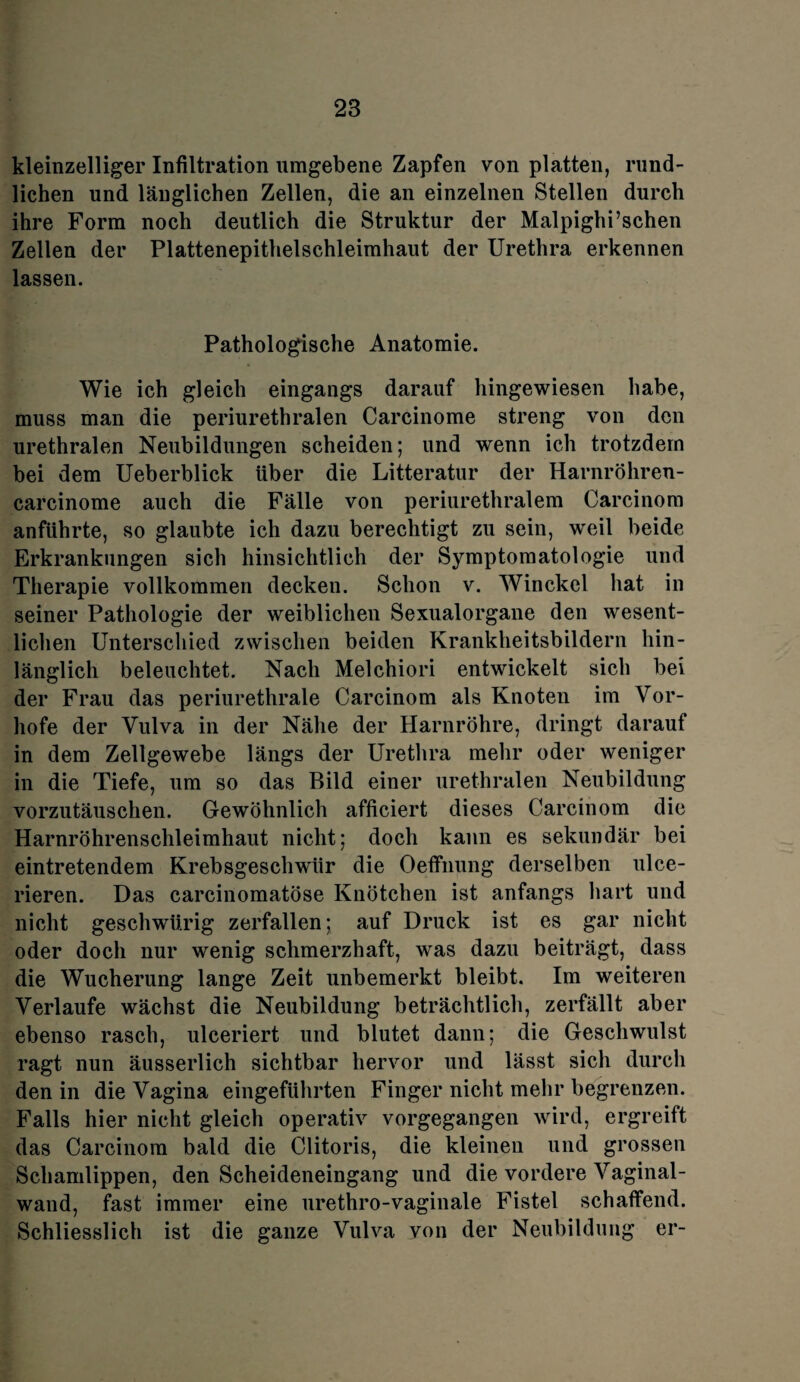 kleinzelliger Infiltration umgebene Zapfen von platten, rund¬ lichen und länglichen Zellen, die an einzelnen Stellen durch ihre Form noch deutlich die Struktur der Malpighi’schen Zellen der Plattenepithelschleimhaut der Urethra erkennen lassen. Pathologische Anatomie. Wie ich gleich eingangs darauf hingewiesen habe, muss man die periurethralen Carcinome streng von den urethralen Neubildungen scheiden; und wenn ich trotzdem bei dem Ueberblick über die Litteratur der Harnröhreu- earcinome auch die Fälle von periurethralem Carcinom anführte, so glaubte ich dazu berechtigt zu sein, weil beide Erkrankungen sich hinsichtlich der Symptomatologie und Therapie vollkommen decken. Schon v. Winckel hat in seiner Pathologie der weiblichen Sexualorgane den wesent¬ lichen Unterschied zwischen beiden Krankheitsbildern hin¬ länglich beleuchtet. Nach Melchior! entwickelt sich bei der Frau das periurethrale Carcinom als Knoten im Vor¬ hofe der Vulva in der Nähe der Harnröhre, dringt darauf in dem Zellgewebe längs der Urethra mehr oder weniger in die Tiefe, um so das Bild einer urethralen Neubildung vorzutäuschen. Gewöhnlich afficiert dieses Carcinom die Harnröhrenschleimhaut nicht; doch kann es sekundär bei eintretendem Krebsgeschwür die Oeffnung derselben ulce- rieren. Das carcinomatöse Knötchen ist anfangs hart und nicht geschwürig zerfallen; auf Druck ist es gar nicht oder doch nur wenig schmerzhaft, was dazu beiträgt, dass die Wucherung lange Zeit unbemerkt bleibt. Im weiteren Verlaufe wächst die Neubildung beträchtlich, zerfällt aber ebenso rasch, ulceriert und blutet dann; die Geschwulst ragt nun äusserlich sichtbar hervor und lässt sich durch den in die Vagina eingeführten Finger nicht mehr begrenzen. Falls hier nicht gleich operativ vorgegangen wird, ergreift das Carcinom bald die Clitoris, die kleinen und grossen Schamlippen, den Scheideneingang und die vordere Vaginal¬ wand, fast immer eine urethro-vaginale Fistel schaffend. Schliesslich ist die ganze Vulva von der Neubildung er-