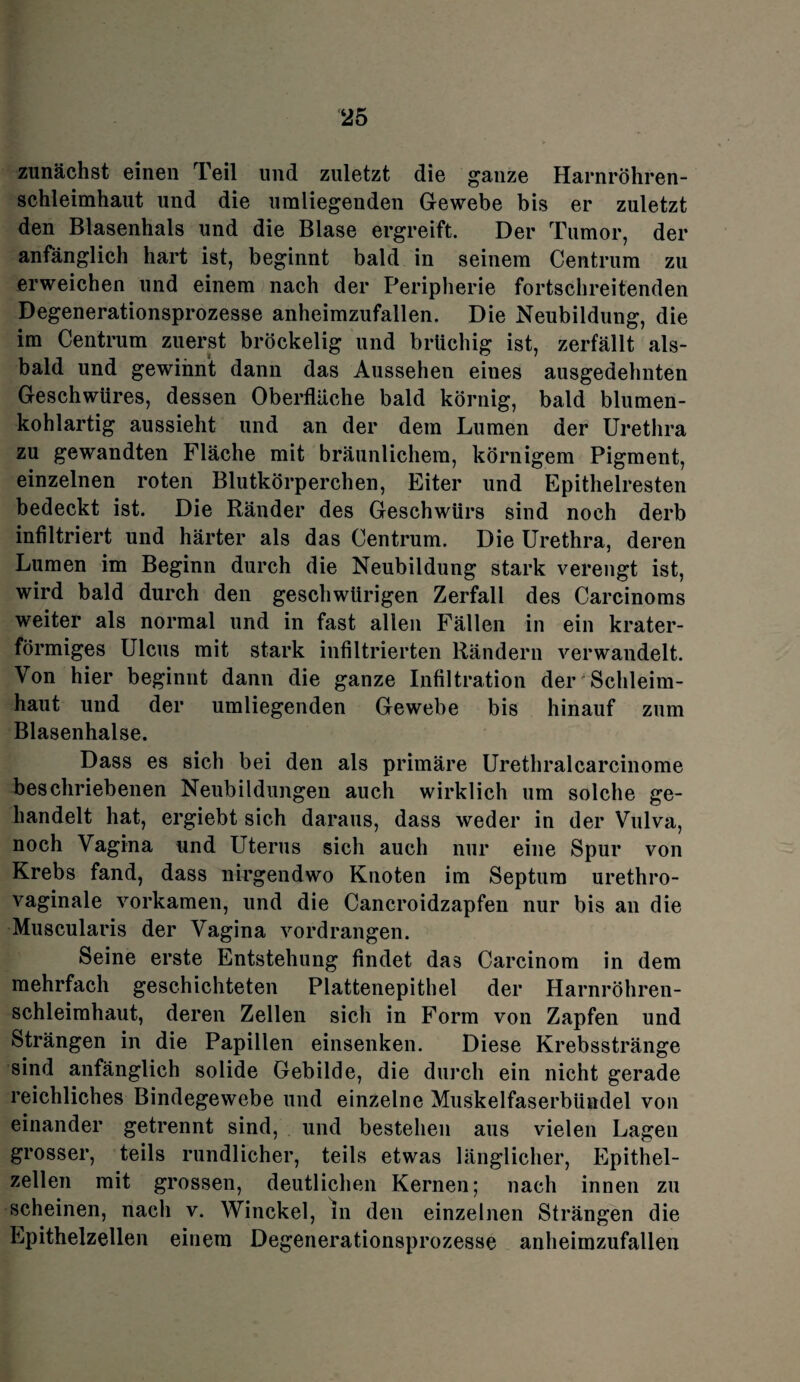 zunächst einen Teil und zuletzt die ganze Harnröhren¬ schleimhaut und die umliegenden Gewebe bis er zuletzt den Blasenhals und die Blase ergreift. Der Tumor, der anfänglich hart ist, beginnt bald in seinem Centrum zu erweichen und einem nach der Peripherie fortschreitenden Degenerationsprozesse anheimzufallen. Die Neubildung, die im Centrum zuerst bröckelig und brüchig ist, zerfällt als¬ bald und gewinnt dann das Aussehen eiues ausgedehnten Geschwüres, dessen Oberfläche bald körnig, bald blumen¬ kohlartig aussieht und an der dem Lumen der Urethra zu gewandten Fläche mit bräunlichem, körnigem Pigment, einzelnen roten Blutkörperchen, Eiter und Epithelresten bedeckt ist. Die Ränder des Geschwürs sind noch derb infiltriert und härter als das Centrum. Die Urethra, deren Lumen im Beginn durch die Neubildung stark verengt ist, wird bald durch den geschwürigen Zerfall des Carcinoms weiter als normal und in fast allen Fällen in ein krater¬ förmiges Ulcus mit stark infiltrierten Rändern verwandelt. Von hier beginnt dann die ganze Infiltration der Schleim¬ haut und der umliegenden Gewebe bis hinauf zum Blasenhalse. Dass es sich bei den als primäre Urethralcarcinome beschriebenen Neubildungen auch wirklich um solche ge¬ handelt hat, ergiebt sich daraus, dass weder in der Vulva, noch Vagina und Uterus sich auch nur eine Spur von Krebs fand, dass nirgendwo Knoten im Septum urethro- vaginale vorkamen, und die Cancroidzapfen nur bis an die Muscularis der Vagina vordrangen. Seine erste Entstehung findet das Carcinom in dem mehrfach geschichteten Plattenepithel der Harnröhren¬ schleimhaut, deren Zellen sich in Form von Zapfen und Strängen in die Papillen einsenken. Diese Krebsstränge sind anfänglich solide Gebilde, die durch ein nicht gerade reichliches Bindegewebe und einzelne Muskelfaserbündel von einander getrennt sind, und bestehen aus vielen Lagen grosser, teils rundlicher, teils etwas länglicher, Epithel¬ zellen mit grossen, deutlichen Kernen; nach innen zu scheinen, nach v. Winckel, ln den einzelnen Strängen die Epithelzellen einem Degenerationsprozesse anheimzufallen