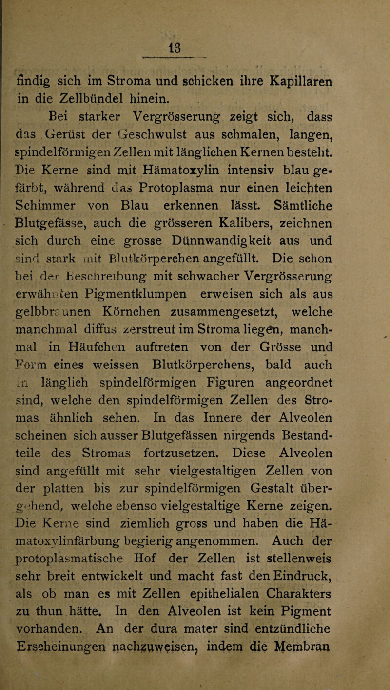 findig sich im Stroma und schicken ihre Kapillaren in die Zellbündel hinein. Bei starker Vergrösserung zeigt sich, dass das Gerüst der Geschwulst aus schmalen, langen, spindelförmigen Zellen mit länglichen Kernen besteht. Die Kerne sind mit Hämatoxylin intensiv blau ge¬ färbt, während das Protoplasma nur einen leichten Schimmer von Blau erkennen lässt. Sämtliche Blutgefässe, auch die grösseren Kalibers, zeichnen sich durch eine grosse Dünnwandigkeit aus und sind stark mit Blutkörperchen angefüllt. Die schon bei der hesctireibung mit schwacher Vergrösserung erwähnten Pigmentklumpen erweisen sich als aus gelbbraunen Körnchen zusammengesetzt, welche manchmal diffus zerstreut im Stroma liegen, manch¬ mal in Häufchen auftreten von der Grösse und Form eines weissen Blutkörperchens, bald auch in. länglich spindelförmigen Figuren angeordnet sind, welche den spindelförmigen Zellen des Stro¬ mas ähnlich sehen. In das Innere der Alveolen scheinen sich ausser Blutgefässen nirgends Bestand¬ teile des Stromas fortzusetzen. Diese Alveolen sind angefüllt mit sehr vielgestaltigen Zellen von der platten bis zur spindelförmigen Gestalt über¬ gehend, welche ebenso vielgestaltige Kerne zeigen. Die Kerne sind ziemlich gross und haben die Hä- matoxvlinfärbung begierig angenommen. Auch der protoplasmatische Hof der Zellen ist stellenweis sehr breit entwickelt und macht fast den Eindruck, als ob man es mit Zellen epithelialen Charakters zu thun hätte. In den Alveolen ist kein Pigment vorhanden. An der dura mater sind entzündliche Erscheinungen nachzuweisen? indem die Membran