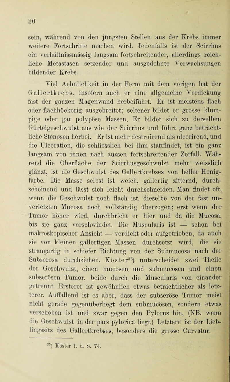 sein, während von den jüngsten Stellen aus der Krebs immer weitere Fortschritte machen wird. Jedenfalls ist der Scirrhus ein yerhältnissmässig langsam fortschreitender, allerdings reich¬ liche Metastasen setzender und ausgedehnte Yerwachsungen bildender Krebs. Yiel Aehnlichkeit in der Form mit dem vorigen hat der Gallertkrebs, insofern auch er eine allgemeine Verdickung fast der ganzen Magenwand herbeiführt. Er ist meistens flach oder flachhöckerig ausgebreitet; seltener bildet er grosse klum¬ pige oder gar polypöse Massen. Er bildet sich zu derselben Gürtelgeschwulst aus wie der Scirrhus und führt ganz beträcht¬ liche Stenosen herbei. Er ist mehr destruirend als ulcerirend, und die TJlceration, die sclüiesslich bei ihm stattfindet, ist ein ganz langsam von innen nach aussen fortschreitender Zerfall. Wäh¬ rend die Oberfläche der Scirrhusgeschwulst mehr weisslich glänzt, ist die Geschwulst des Gallertkrebses von heller Honig¬ farbe. Die Masse selbst ist weich, gallertig zitternd, durch¬ scheinend und lässt sich leicht durchschneiden. Man findet oft, wenn die Geschwulst noch flach ist, dieselbe von der fast un¬ verletzten Mucosa noch vollständig überzogen; erst wenn der Tumor höher wird, durchbricht er hier und da die Mucosa, bis sie ganz verschwindet. Die Muscularis ist — schon bei makroskopischer Ansicht — verdickt oder aufgetrieben, da auch sie von kleinen gallertigen Massen durchsetzt wird, die sie strangartig in schiefer Kichtung von der Submucosa nach der Subserosa durchziehen. Köster^^) unterscheidet zwei Theile der Geschwulst, einen mucösen und submucösen und einen subserösen Tumor, beide durch die Muscularis von einander getrennt. Ersterer ist gewöhnlich etwas beträchtlicher als letz¬ terer. Auffallend ist es aber, dass der subseröse Tumor meist nicht gerade gegenüberliegt dem submucösen, sondern ehvas verschoben ist und zwar gegen den Pylorus hin, (NB. wenn die Geschwulst in der pars pylorica liegt.) Letztere ist der Lieb¬ lingssitz des Gallertkrebses, besonders die grosse Curvatur.