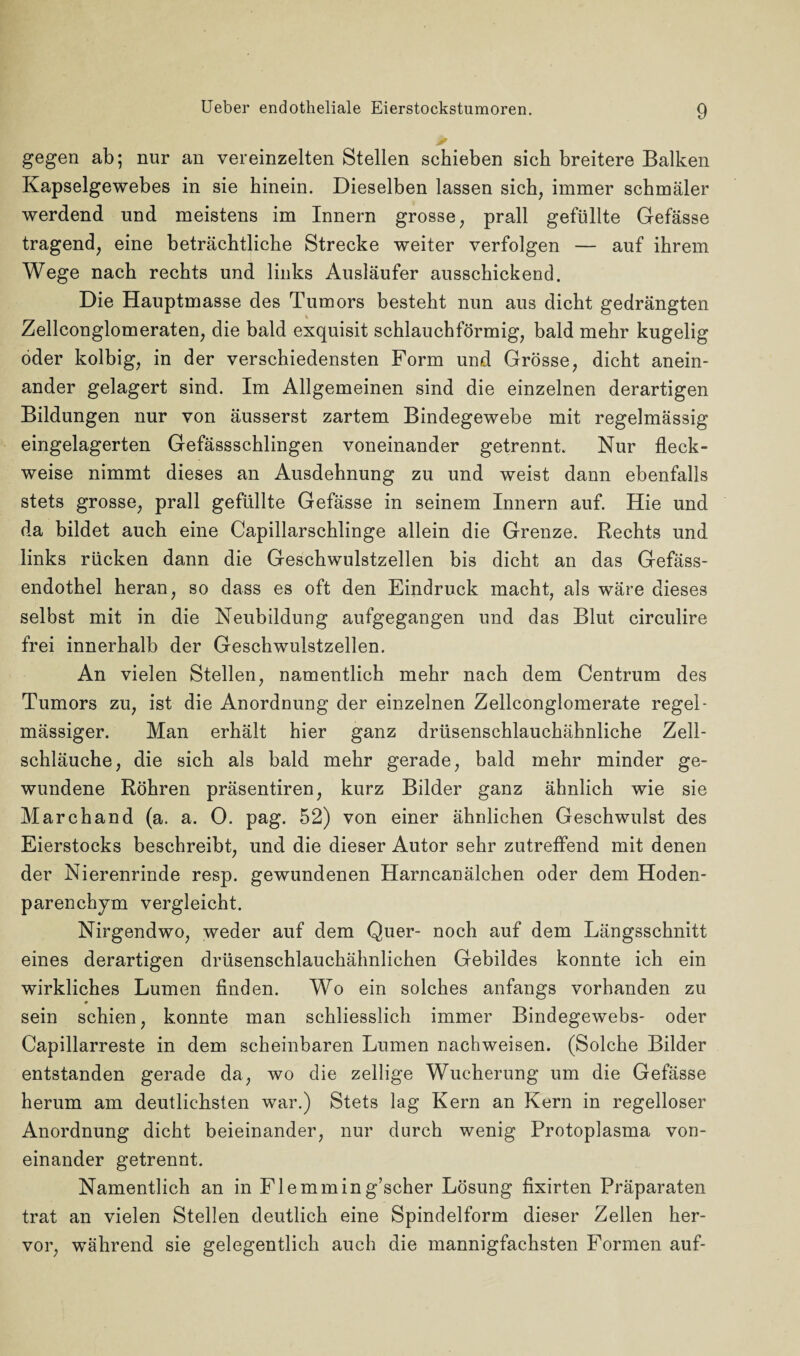 gegen ab; nur an vereinzelten Stellen schieben sich breitere Balken Kapselgewebes in sie hinein. Dieselben lassen sich, immer schmäler werdend und meistens im Innern grosse, prall gefüllte Gefässe tragend, eine beträchtliche Strecke weiter verfolgen — auf ihrem Wege nach rechts und links Ausläufer ausschickend. Die Hauptmasse des Tumors besteht nun aus dicht gedrängten Zellconglomeraten, die bald exquisit schlauchförmig, bald mehr kugelig öder kolbig, in der verschiedensten Form und Grösse, dicht anein¬ ander gelagert sind. Im Allgemeinen sind die einzelnen derartigen Bildungen nur von äusserst zartem Bindegewebe mit regelmässig eingelagerten Gefässschlingen voneinander getrennt. Nur fleck¬ weise nimmt dieses an Ausdehnung zu und weist dann ebenfalls stets grosse, prall gefüllte Gefässe in seinem Innern auf. Hie und da bildet auch eine Capillarschlinge allein die Grenze. Rechts und links rücken dann die Geschwulstzellen bis dicht an das Gefäss- endothel heran, so dass es oft den Eindruck macht, als wäre dieses selbst mit in die Neubildung aufgegangen und das Blut circulire frei innerhalb der Geschwulstzellen. An vielen Stellen, namentlich mehr nach dem Centrum des Tumors zu, ist die Anordnung der einzelnen Zellconglomerate regel¬ mässiger. Man erhält hier ganz drüsenschlauchähnliche Zell¬ schläuche, die sich als bald mehr gerade, bald mehr minder ge¬ wundene Röhren präsentiren, kurz Bilder ganz ähnlich wie sie March and (a. a. 0. pag. 52) von einer ähnlichen Geschwulst des Eierstocks beschreibt, und die dieser Autor sehr zutreffend mit denen der Nierenrinde resp. gewundenen Harncanälchen oder dem Hoden¬ parenchym vergleicht. Nirgendwo, weder auf dem Quer- noch auf dem Längsschnitt eines derartigen drüsenschlauchähnlichen Gebildes konnte ich ein wirkliches Lumen finden. Wo ein solches anfangs vorhanden zu 9 sein schien, konnte man schliesslich immer Bindegewebs- oder Capillarreste in dem scheinbaren Lumen nachweisen. (Solche Bilder entstanden gerade da, wo die zellige Wucherung um die Gefässe herum am deutlichsten war.) Stets lag Kern an Kern in regelloser Anordnung dicht beieinander, nur durch wenig Protoplasma von¬ einander getrennt. Namentlich an in Flemmin g’scher Lösung fixirten Präparaten trat an vielen Stellen deutlich eine Spindelform dieser Zellen her¬ vor, während sie gelegentlich auch die mannigfachsten Formen auf-