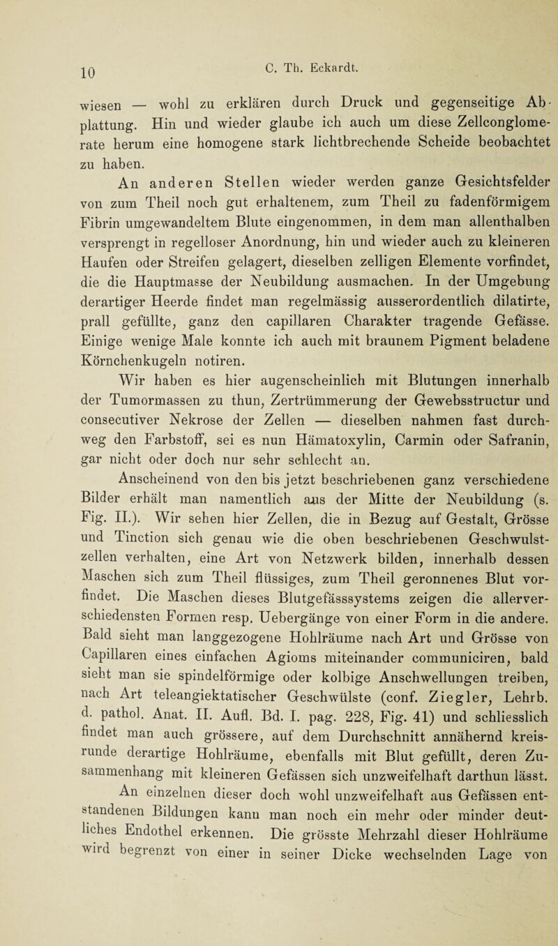 wiesen — wohl zu erklären durch Druck und gegenseitige Ab' plattung. Hin und wieder glaube ich auch um diese Zellconglome- rate herum eine homogene stark lichtbrechende Scheide beobachtet zu haben. An anderen Stellen wieder werden ganze Gesichtsfelder von zum Theil noch gut erhaltenem, zum Theil zu fadenförmigem Fibrin umgewandeltem Blute eingenommen, in dem man allenthalben versprengt in regelloser Anordnung, hin und wieder auch zu kleineren Haufen oder Streifen gelagert, dieselben zelligen Elemente vorfindet, die die Hauptmasse der Neubildung ausmachen. In der Umgebung derartiger Heerde findet man regelmässig ausserordentlich dilatirte, prall gefüllte, ganz den capillaren Charakter tragende Gefässe. Einige wenige Male konnte ich auch mit braunem Pigment beladene Körnchenkugeln notiren. Wir haben es hier augenscheinlich mit Blutungen innerhalb der Tumormassen zu thun, Zertrümmerung der Gewebsstructur und consecutiver Nekrose der Zellen — dieselben nahmen fast durch¬ weg den Farbstoff, sei es nun Hämatoxylin, Carmin oder Safranin, gar nicht oder doch nur sehr schlecht an. Anscheinend von den bis jetzt beschriebenen ganz verschiedene Bilder erhält man namentlich ans der Mitte der Neubildung (s. Fig. II.). Wir sehen hier Zellen, die in Bezug auf Gestalt, Grösse und Tinction sich genau wie die oben beschriebenen Geschwulst¬ zellen verhalten, eine Art von Netzwerk bilden, innerhalb dessen Maschen sich zum Theil flüssiges, zum Theil geronnenes Blut vor¬ findet. Die Maschen dieses Blutgefässsystems zeigen die allerver¬ schiedensten Formen resp, Uebergänge von einer Form in die andere. Bald sieht man langgezogene Hohlräume nach Art und Grösse von Capillaren eines einfachen Agioms miteinander communiciren, bald sieht man sie spindelförmige oder kolbige Anschwellungen treiben, nach Art teleangiektatischer Geschwülste (conf. Ziegler, Lehrb. d. pathol. Anat. II. Aufl. Bd. I. pag. 228, Fig. 41) und schliesslich findet man auch grössere, auf dem Durchschnitt annähernd kreis¬ runde derartige Hohlräume, ebenfalls mit Blut gefüllt, deren Zu¬ sammenhang mit kleineren Gefässen sich unzweifelhaft darthun lässt. An einzelnen dieser doch wohl unzweifelhaft aus Gefässen ent¬ standenen Bildungen kann man noch ein mehr oder minder deut¬ liches Endothel erkennen. Die grösste Mehrzahl dieser Hohlräume wird begrenzt von einer in seiner Dicke wechselnden Lage von