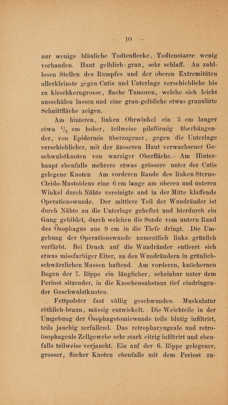 nur wenige bläuliche Todtenfiecke, Todtenstarre wenig vorhanden. Haut gelblich-grau, sehr schlaff. Anzahl- losen Stellen des Rumpfes und der oberen Extremitäten allerkleinste gegen Cutis und Unterlage verschiebliche bis zu kirschkerngrosse, flache Tumoren, welche sich leicht ausschälen lassen und eine grau-gelbliche etwas granulirte Schnittfläche zeigen. Ara hinteren, linken Ohrwinkel ein 3 cm langer etwa */2 cm hoher, teilweise pilzförmig überhängen¬ der, von Epidermis überzogener, gegen die Unterlage verschieblicher, mit der äusseren Haut verwachsener Ge¬ schwulstknoten von warziger Oberfläche.' Am Hinter¬ haupt ebenfalls mehrere etwas grössere unter der Cutis gelegene Knoten. Am vorderen Rande des linken Sterno- Cleido-Mastoideus eine 6 cm lange am oberen und unteren Winkel durch Nähte vereinigte und in der Mitte klaffende Operationswunde. Der mittlere Teil der Wundränder ist durch Nähte an die Unterlage geheftet und hierdurch ein Gang gebildet, durch welchen die Sonde vom untern Rand • • des Ösophagus aus 9 cm in die Tiefe dringt. Die Um¬ gebung der Operationswunde namentlich links grünlich verfärbt. Bei Druck auf die Wundränder entleert sich etwas missfarbiger Eiter, an den Wuudrändern in grünlich¬ schwärzlichen Massen haftend. Am vorderen, knöchernen Bogen der 7. Rippe ein länglicher, scheinbar unter dem Periost sitzender, in die Knochensubstanz tief eindringen¬ der Geschwulstknoten. Fettpolster fast völlig geschwunden. Muskulatur röthlich-braun, mässig entwickelt. Die Weichteile in der • • Umgebung der Osophagotomiewunde teils blutig infiltrirt, teils jauchig zerfallend. Das retropharyngeale und retro- ösophageale Zellgewebe sehr stark eitrig infiltrirt und eben¬ falls teilweise verjaucht. Ein auf der 6. Rippe gelegener, grosser, flacher Knoten ebenfalls mit dem Periost zu-