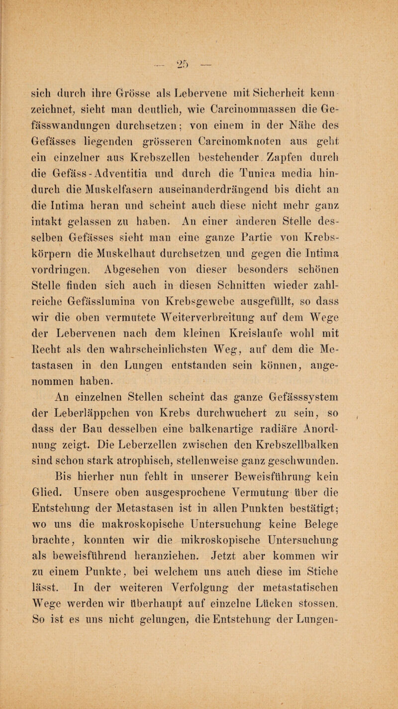 sich durch ihre Grösse als Lebervene mit Sicherheit kenn zeichnet; sieht man deutlich; wie Carcinommassen die Ge- fässwandungen durchsetzen; von einem in der Nähe des Gefässes liegenden grösseren Carcinomknoten aus geht ein einzelner aus Krebszellen bestehender Zapfen durch die Gefäss - Adventitia und durch die Tunica media hin- dureh die Muskelfasern auseinanderdrängend bis dicht an die Intima heran und scheint auch diese nicht mehr ganz intakt gelassen zu haben. An einer anderen Stelle des¬ selben Gefässes sieht man eine ganze Partie von Krebs¬ körpern die Muskelhaut durchsetzen und gegen die Intima Vordringen. Abgesehen von dieser besonders schönen Stelle finden sich auch in diesen Schnitten wieder zahl¬ reiche Gefässlumina von Krebsgewebe ausgefüllt; so dass wir die oben vermutete Weiterverbreitung auf dem Wege der Lebervenen nach dem kleinen Kreisläufe wohl mit Recht als den wahrscheinlichsten Weg, auf dem die Me¬ tastasen in den Lungen entstanden sein können; ange¬ nommen haben. An einzelnen Stellen scheint das ganze Gefässsystem der Leberläppchen von Krebs durchwuchert zu sein; so dass der Bau desselben eine balkenartige radiäre Anord¬ nung zeigt. Die Leberzellen zwischen den Krebszellbalken sind schon stark atrophisch; stellenweise ganz geschwunden. Bis hierher nun fehlt in unserer Beweisführung kein Glied. Unsere oben ausgesprochene Vermutung über die Entstehung der Metastasen ist in allen Punkten bestätigt; wo uns die makroskopische Untersuchung keine Belege brachte; konnten wir die mikroskopische Untersuchung als beweisführend heranziehen. Jetzt aber kommen wir zu einem Punkte, bei welchem uns auch diese im Stiche lässt. In der weiteren Verfolgung der metastatischen Wege werden wir überhaupt auf einzelne Lücken stossen. So ist es uns nicht gelungen; die Entstehung der Lungen-