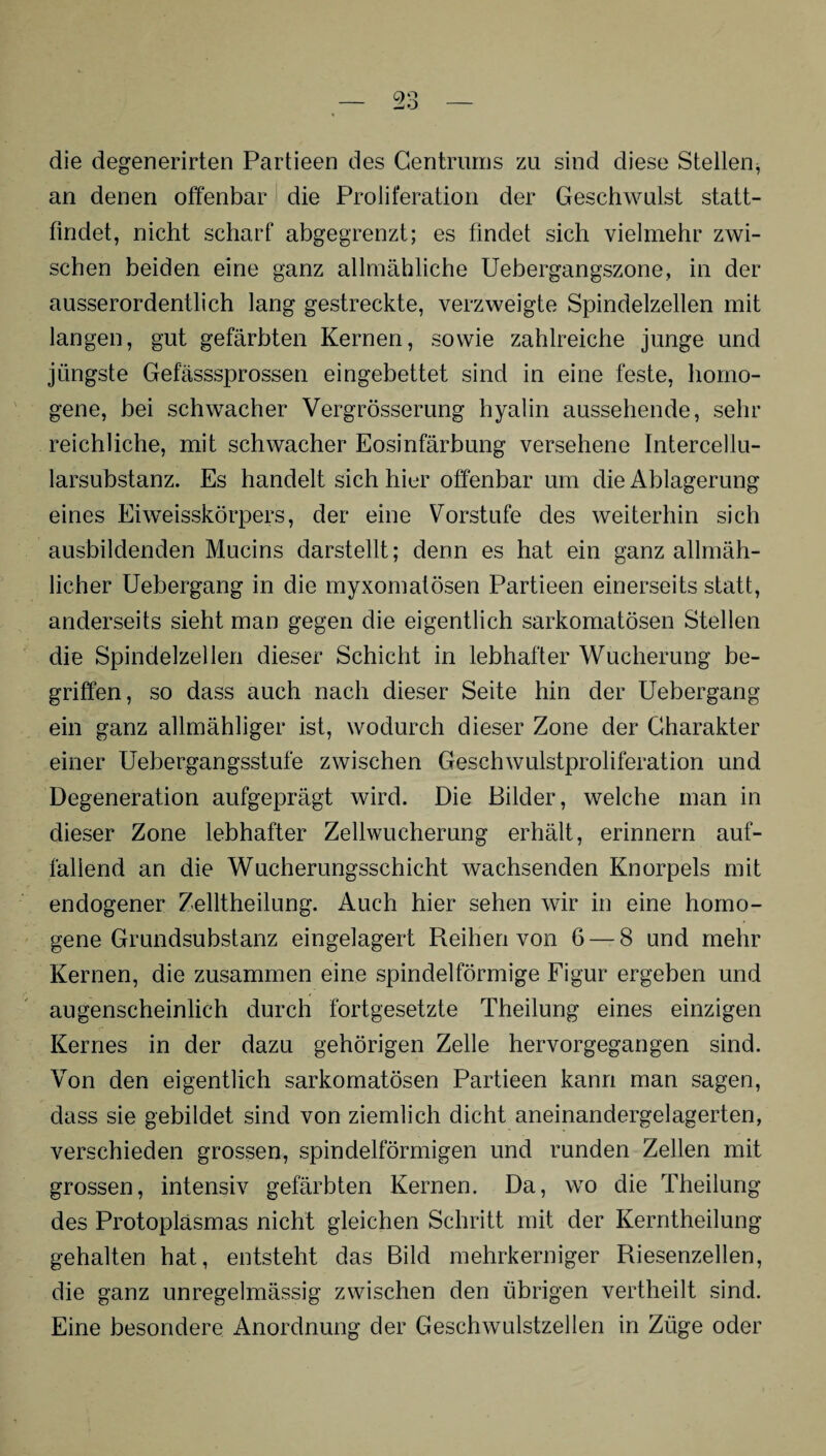 die degenerirten Partieen des Gentrums zu sind diese Stellen^ an denen offenbar die Proliferation der Geschwulst statt¬ findet, nicht scharf abgegrenzt; es findet sich vielmehr zwi¬ schen beiden eine ganz allmähliche Uebergangszone, in der ausserordentlich lang gestreckte, verzweigte Spindelzellen mit langen, gut gefärbten Kernen, sowie zahlreiche junge und jüngste Gef'ässsprossen eingebettet sind in eine feste, homo¬ gene, bei schwacher Vergrösserung hyalin aussehende, sehr reichliche, mit schwacher Eosinfärbung versehene Intercellu¬ larsubstanz. Es handelt sich hier offenbar um die Ablagerung eines Eiweisskörpers, der eine Vorstufe des weiterhin sich ausbildenden Mucins darstellt; denn es hat ein ganz allmäh¬ licher Uebergang in die myxomatösen Partieen einerseits statt, anderseits sieht man gegen die eigentlich sarkomatösen Stellen die Spindelzellen dieser Schicht in lebhafter Wucherung be¬ griffen, so dass auch nach dieser Seite hin der Uebergang ein ganz allmähliger ist, wodurch dieser Zone der Charakter einer Uebergangsstufe zwischen Geschwulstproliferation und Degeneration aufgeprägt wird. Die Bilder, welche man in dieser Zone lebhafter Zellwucherung erhält, erinnern auf¬ fallend an die Wucherungsschicht wachsenden Knorpels mit endogener Zelltheilung. Auch hier sehen wir in eine homo¬ gene Grundsubstanz eingelagert Reihen von 6 — 8 und mehr Kernen, die zusammen eine spindelförmige Figur ergeben und augenscheinlich durch fortgesetzte Theilung eines einzigen Kernes in der dazu gehörigen Zelle hervorgegangen sind. Von den eigentlich sarkomatösen Partieen kann man sagen, dass sie gebildet sind von ziemlich dicht aneinandergelagerten, verschieden grossen, spindelförmigen und runden Zellen mit grossen, intensiv gefärbten Kernen. Da, wo die Theilung des Protoplasmas nicht gleichen Schritt mit der Kerntheilung gehalten hat, entsteht das Bild mehrkerniger Riesenzellen, die ganz unregelmässig zwischen den übrigen vertheilt sind. Eine besondere Anordnung der Geschwulstzellen in Züge oder