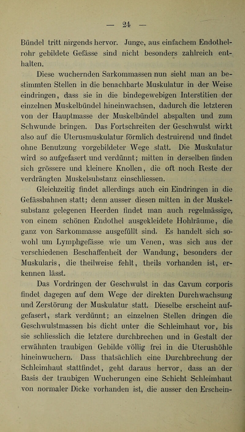 Bündel tritt nirgends hervor. Junge, aus einfachem Endothel¬ rohr gebildete Gefässe sind nicht besonders zahlreich ent¬ halten. Diese wuchernden Sarkommassen nun sieht man an be¬ stimmten Stellen in die benachbarte Muskulatur in der Weise eindringen, dass sie in die bindegewebigen Interstitien der einzelnen Muskelbündel hineinwachsen, dadurch die letzteren von der Hauptmasse der Muskelbündel abspalten und zum Schwunde bringen. Das Fortschreiten der Geschwulst wirkt also auf die Uterusmuskulatur förmlich destruirend und findet ohne Benutzung vorgebildeter Wege statt. Die Muskulatur wird so aufgefasert und verdünnt; mitten in derselben finden sich grössere und kleinere Knollen, die oft noch Reste der verdrängten Muskelsubstanz einschliessen. Gleichzeitig findet allerdings auch ein Eindringen in die Gefässbahnen statt; denn ausser diesen mitten in der Muskel¬ substanz gelegenen Heerden findet man auch regelmässige, von einem schönen Endothel ausgekleidete Hohlräume, die ganz von Sarkommasse ausgefüllt sind. Es handelt sich so¬ wohl um Lymphgefässe wie um Venen, was sich aus der verschiedenen Beschaffenheit der Wandung, besonders der Muskularis, die theilweise fehlt, theils vorhanden ist, er¬ kennen lässt. Das Vordringen der Geschwulst in das Gavum corporis findet dagegen auf dem Wege der direkten Durchwachsung und Zerstörung der Muskulatur statt. Dieselbe erscheint auf¬ gefasert, stark verdünnt; an einzelnen Stellen dringen die Geschwulstmassen bis dicht unter die Schleimhaut vor, bis sie schliesslich die letztere durchbrechen und in Gestalt der erwähnten traubigen Gebilde völlig frei in die Uterushöhle hineinwuchern. Dass thatsächlich eine Durchbrechung der Schleimhaut stattfindet, geht daraus hervor, dass an der Basis der traubigen Wucherungen eine Schicht Schleimhaut von normaler Dicke vorhanden ist, die ausser den Erschein-