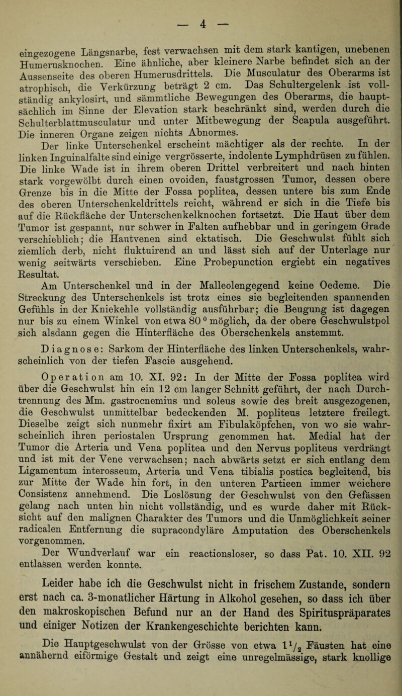 eingezogene Längsnarbe, fest verwachsen mit dem stark kantigen, unebenen Humerusknochen. Eine ähnliche, aber kleinere Narbe befindet sich an der Aussenseite des oberen Humerusdrittels. Die Musculatur des Oberarms ist atrophisch, die Verkürzung beträgt 2 cm. Das Schultergelenk ist voll¬ ständig ankylosirt, und sämmtliche Bewegungen des^ Oberarms, die haupt¬ sächlich im Sinne der Elevation stark beschränkt sind, werden durch die Schulterblattmusculatur und unter Mitbewegung der Scapula ausgeführt. Die inneren Organe zeigen nichts Abnormes. Der linke Unterschenkel erscheint mächtiger als der rechte. In der linken Inguinalfalte sind einige vergrösserte, indolente Lymphdrüsen zu fühlen. Die linke Wade ist in ihrem oberen Drittel verbreitert und nach hinten stark vorgewölbt durch einen ovoiden, faustgrossen Tumor, dessen obere Grenze bis in die Mitte der Eossa poplitea, dessen untere bis zum Ende des oberen Unterschenkeldrittels reicht, während er sich in die Tiefe bis auf die Bückfläche der Unterschenkelknochen fortsetzt. Die Haut über dem Tumor ist gespannt, nur schwer in Ealten aufhebbar und in geringem Grade verschieblich; die Hautvenen sind ektatisch. Die Geschwulst fühlt sich ziemlich derb, nicht fluktuirend an und lässt sich auf der Unterlage nur wenig seitwärts verschieben. Eine Probepunction ergiebt ein negatives Besultat. Am Unterschenkel und in der Malleolengegend keine Oedeme. Die Streckung des Unterschenkels ist trotz eines sie begleitenden spannenden Gefühls in der Kniekehle vollständig ausführbar; die Beugung ist dagegen nur bis zu einem Winkel von etwa 80 ® möglich, da der obere Geschwulstpol sich alsdann gegen die Hinterfläche des Oberschenkels anstemmt. Diagnose: Sarkom der Hinterfläche des linken Unterschenkels, wahr¬ scheinlich von der tiefen Eascie ausgehend. Operation am 10. XI. 92: In der Mitte der Eossa poplitea wird über die Geschwulst hin ein 12 cm langer Schnitt geführt, der nach Durch¬ trennung des Mm. gastrocnemius und soleus sowie des breit ausgezogenen, die Geschwulst unmittelbar bedeckenden M. popliteus letztere freilegt. Dieselbe zeigt sich nunmehr fixirt am Eibulaköpfchen, von wo sie wahr¬ scheinlich ihren periostalen Ursprung genommen hat. Medial hat der Tumor die Arteria und Vena poplitea und den Nervus popliteus verdrängt und ist mit der Vene verwachsen; nach abwärts setzt er sich entlang dem Ligamentum interosseum, Arteria und Vena tibialis postica begleitend, bis zur Mitte der Wade hin fort, in den unteren Partieen immer weichere Consistenz annehmend. Die Loslösung der Geschwulst von den Gefässen gelang nach unten hin nicht vollständig, und es wurde daher mit Hück- sicht auf den malignen Charakter des Tumors und die Unmöglichkeit seiner radicalen Entfernung die supracondyläre Amputation des Oberschenkels vorgenommen. Der Wundverlauf war ein reactionsloser, so dass Pat. 10. XII. 92 entlassen werden konnte. Leider habe ich die Geschwulst nicht in frischem Zustande, sondern erst nach ca. 3-monatlicher Härtung in Alkohol gesehen, so dass ich über den makroskopischen Befund nur an der Hand des Spirituspräparates und einiger Notizen der Krankengeschichte berichten kann. Die Hauptgeschwulst von der Grösse von etwa l^/g Eäusten hat eine annähernd eiförmige Gestalt und zeigt eine unregelmässige, stark knollige