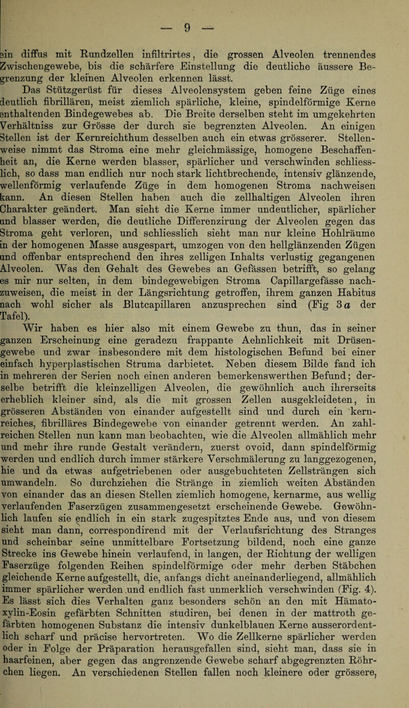 sin diffus mit Rundzellen infiltrirtes, die grossen Alveolen trennendes Zwischengewebe, bis die schärfere Einstellung die deutliche äussere Be¬ grenzung der kleinen Alveolen erkennen lässt. Das Stützgerüst für dieses Alveolensystem geben feine Züge eines deutlich fibrillären, meist ziemlich spärliche, kleine, spindelförmige Kerne ßnthaltenden Bindegewebes ab. Die Breite derselben steht im umgekehrten Verhältniss zur Grösse der durch sie begrenzten Alveolen. An einigen Stellen ist der Kernreichthum desselben auch ein etwas grösserer. Stellen¬ weise nimmt das Stroma eine mehr gleichmässige, homogene Beschaffen¬ heit an, die Kerne werden blasser, spärlicher und verschwinden schliess¬ lich, so dass man endlich nur noch stark lichtbrechende, intensiv glänzende, wellenförmig verlaufende Züge in dem homogenen Stroma nachweisen kann. An diesen Stellen haben auch die zellhaltigen Alveolen ihren Charakter geändert. Man sieht die Kerne immer undeutlicher, spärlicher lind blasser werden, die deutliche Differenzirung der Alveolen gegen das Stroma geht verloren, und schliesslich sieht man nur kleine Hohlräume in der homogenen Masse ausgespart, umzogen von den hellglänzenden Zügen und offenbar entsprechend den ihres zeitigen Inhalts verlustig gegangenen Alveolen. Was den Gehalt des Gewebes an Gefässen betrifft, so gelang es mir nur selten, in dem bindegewebigen Stroma Capillargefässe nach¬ zuweisen, die meist in der Längsrichtung getroffen, ihrem ganzen Habitus nach wohl sicher als Blutcapillaren anzusprechen sind (Eig 3 a der Tafel). Wir haben es hier also mit einem Gewebe zu thun, das in seiner ganzen Erscheinung eine geradezu frappante Aehnlichkeit mit Drüsen¬ gewebe und zwar insbesondere mit dem histologischen Befund bei einer einfach hyperplastischen Struma darbietet. Heben diesem Bilde fand ich in mehreren der Serien noch einen anderen bemerkenswerthen Befund; der¬ selbe betrifft die kleinzelligen Alveolen, die gewöhnlich auch ihrerseits erheblich kleiner sind, als die mit grossen Zellen ausgekleideten, in grösseren Abständen von einander aufgestellt sind und durch ein kern¬ reiches, fibrilläres Bindegewebe von einander getrennt werden. An zahl¬ reichen Stellen nun kann man beobachten, wie die Alveolen allmählich mehr und mehr ihre runde Gestalt verändern, zuerst ovoid, dann spindelförmig werden und endlich durch immer stärkere Verschmälerung zu langgezogenen, hie und da etwas aufgetriebenen oder ausgebuchteten Zellsträngen sich umwandeln. So durchziehen die Stränge in ziemlich weiten Abständen von einander das an diesen Stellen ziemlich homogene, kernarme, aus wellig verlaufenden Easerzügen zusammengesetzt erscheinende Gewebe. Gewöhn¬ lich laufen sie ^ndlich in ein stark zugespitztes Ende aus, und von diesem sieht man dann, correspondirend mit der Verlaufsrichtung des Stranges und scheinbar seine unmittelbare Eortsetzung bildend, noch eine ganze Strecke ins Gewebe hinein verlaufend, in langen, der Dichtung der welligen Easerzüge folgenden Leihen spindelförmige oder mehr derben Stäbchen gleichende Kerne aufgestellt, die, anfangs dicht aneinanderliegend, allmählich immer spärlicher werden .und endlich fast unmerklich verschwinden (Eig. 4). Es lässt sich dies Verhalten ganz besonders schön an den mit Hämato- xylin-Eosin gefärbten Schnitten studiren, bei denen in der mattroth ge¬ färbten homogenen Substanz die intensiv dunkelblauen Kerne ausserordent¬ lich scharf und präcise hervortreten. Wo die Zellkerne spärlicher werden oder in Eolge der Präparation herausgefallen sind, sieht man, dass sie in haarfeinen, aber gegen das angrenzende Gewebe scharf abgegrenzten Köhr- chen liegen. An verschiedenen Stellen fallen noch kleinere oder grössere,
