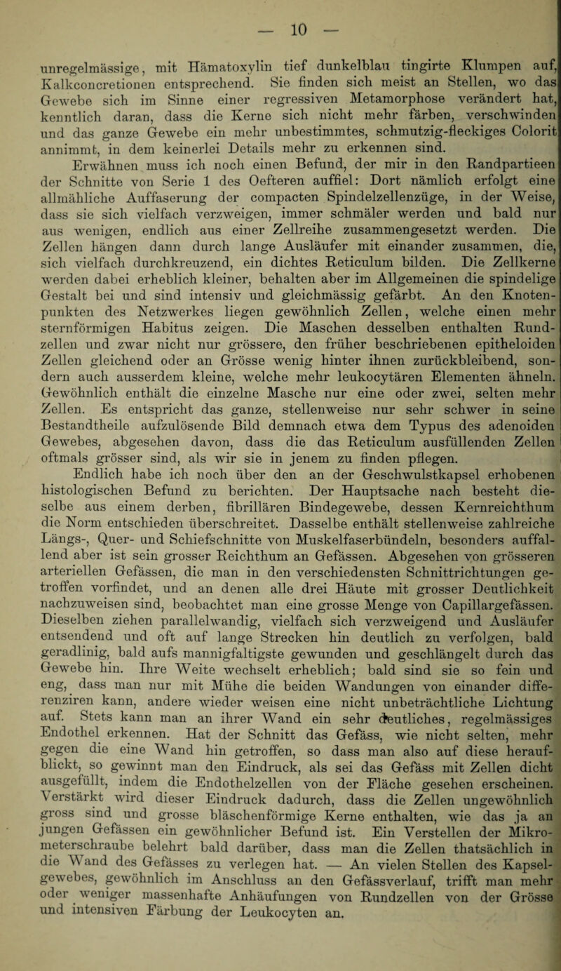 unregelmässige, mit Hämatoxylin tief dunkelblau tingirte Klumpen auf, Kalkconcretionen entsprechend. Sie finden sich meist an Stellen, wo das Gewebe sich im Sinne einer regressiven Metamorphose verändert hat, kenntlich daran, dass die Kerne sich nicht mehr färben, verschwinden und das ganze Gewebe ein mehr unbestimmtes, schmutzig-fleckiges Oolorit annimmt, in dem keinerlei Details mehr zu erkennen sind. Erwähnen muss ich noch einen Befund, der mir in den Randpartieen der Schnitte von Serie 1 des Oefteren auffiel: Dort nämlich erfolgt eine allmähliche Auffaserung der compacten Spindelzellenzüge, in der Weise, dass sie sich vielfach verzweigen, immer schmäler werden und bald nur aus wenigen, endlich aus einer Zellreihe zusammengesetzt werden. Die Zellen hängen dann durch lange Ausläufer mit einander zusammen, die, sich vielfach durchkreuzend, ein dichtes Reticulum bilden. Die Zellkerne werden dabei erheblich kleiner, behalten aber im Allgemeinen die spindelige Gestalt bei und sind intensiv und gleichmässig gefärbt. An den Knoten¬ punkten des Netzwerkes liegen gewöhnlich Zellen, welche einen mehr sternförmigen Habitus zeigen. Die Maschen desselben enthalten Rund¬ zellen und zwar nicht nur grössere, den früher beschriebenen epitheloiden Zellen gleichend oder an Grösse wenig hinter ihnen zurückbleibend, son¬ dern auch ausserdem kleine, welche mehr leukocytären Elementen ähneln. Gewöhnlich enthält die einzelne Masche nur eine oder zwei, selten mehr Zellen. Es entspricht das ganze, stellenweise nur sehr schwer in seine Bestandtheile aufzulösende Bild demnach etwa dem Typus des adenoiden Gewebes, abgesehen davon, dass die das Reticulum ausfüllenden Zellen oftmals grösser sind, als wir sie in jenem zu finden pflegen. Endlich habe ich noch über den an der Geschwulstkapsel erhobenen histologischen Befund zu berichten. Der Hauptsache nach besteht die¬ selbe aus einem derben, fibrillären Bindegewebe, dessen Kernreichthum die Norm entschieden überschreitet. Dasselbe enthält stellenweise zahlreiche Längs-, Quer- und Schiefschnitte von Muskelfaserbündeln, besonders auffal¬ lend aber ist sein grosser Reichthum an Gefässen. Abgesehen von grösseren arteriellen Gefässen, die man in den verschiedensten Schnittrichtungen ge¬ troffen vorfindet, und an denen alle drei Häute mit grosser Deutlichkeit nachzuweisen sind, beobachtet man eine grosse Menge von Capillargefässen. Dieselben ziehen parallelwandig, vielfach sich verzweigend und Ausläufer entsendend und oft auf lange Strecken hin deutlich zu verfolgen, bald geradlinig, bald aufs mannigfaltigste gewunden und geschlängelt durch das Gewebe hin. Ihre Weite wechselt erheblich; bald sind sie so fein und eng, dass man nur mit Mühe die beiden Wandungen von einander diffe- renziren kann, andere wieder weisen eine nicht unbeträchtliche Lichtung auf. Stets kann man an ihrer Wand ein sehr deutliches, regelmässiges Endothel erkennen. Hat der Schnitt das Gefäss, wie nicht selten, mehr gegen die eine Wand hin getroffen, so dass man also auf diese herauf¬ blickt, so gewinnt man den Eindruck, als sei das Gefäss mit Zellen dicht ausgefüllt, indem die Endothelzellen von der Fläche gesehen erscheinen. ’V erstärkt wird dieser Eindruck dadurch, dass die Zellen ungewöhnlich gross sind und grosse bläschenförmige Kerne enthalten, wie das ja an jungen Gefässen ein gewöhnlicher Befund ist. Ein Verstellen der Mikro¬ meterschraube belehrt bald darüber, dass man die Zellen thatsächlich in die V and des Gefässes zu verlegen hat. — An vielen Stellen des Kapsel¬ gewebes, gewöhnlich im Anschluss an den Gefässverlauf, trifft man mehr oder ^ weniger massenhafte Anhäufungen von Rundzellen von der Grösse und intensiven Färbung der Leukocyten an.
