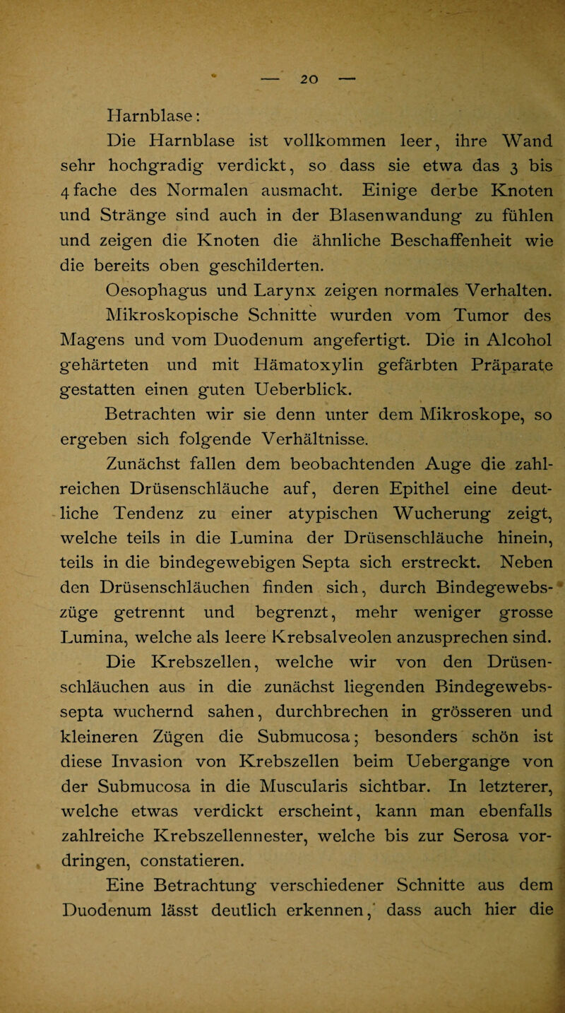 Harnblase: Die Harnblase ist vollkommen leer, ihre Wand sehr hochgradig verdickt, so dass sie etwa das 3 bis 4 fache des Normalen ausmacht. Einige derbe Knoten und Stränge sind auch in der Blasenwandung zu fühlen und zeigen die Knoten die ähnliche Beschaffenheit wie die bereits oben geschilderten. Oesophagus und Larynx zeigen normales Verhalten. Mikroskopische Schnitte wurden vom Tumor des Magens und vom Duodenum angefertigt. Die in Alcohol gehärteten und mit Hämatoxylin gefärbten Präparate gestatten einen guten Ueberblick. Betrachten wir sie denn unter dem Mikroskope, so ergeben sich folgende Verhältnisse. Zunächst fallen dem beobachtenden Auge die zahl¬ reichen Drüsenschläuche auf, deren Epithel eine deut¬ liche Tendenz zu einer atypischen Wucherung zeigt, welche teils in die Lumina der Drüsenschläuche hinein, teils in die bindegewebigen Septa sich erstreckt. Neben den Drüsenschläuchen finden sich, durch Bindegewebs- züge getrennt und begrenzt, mehr weniger grosse Lumina, welche als leere Krebsalveolen anzusprechen sind. Die Krebszellen, welche wir von den Drüsen¬ schläuchen aus in die zunächst liegenden Bindegewebs- septa wuchernd sahen, durchbrechen in grösseren und kleineren Zügen die Submucosa 5 besonders schön ist diese Invasion von Krebszellen beim Uebergange von der Submucosa in die Muscularis sichtbar. In letzterer, welche etwas verdickt erscheint, kann man ebenfalls zahlreiche Krebszellennester, welche bis zur Serosa Vor¬ dringen, constatieren. Eine Betrachtung verschiedener Schnitte aus dem Duodenum lässt deutlich erkennen,' dass auch hier die