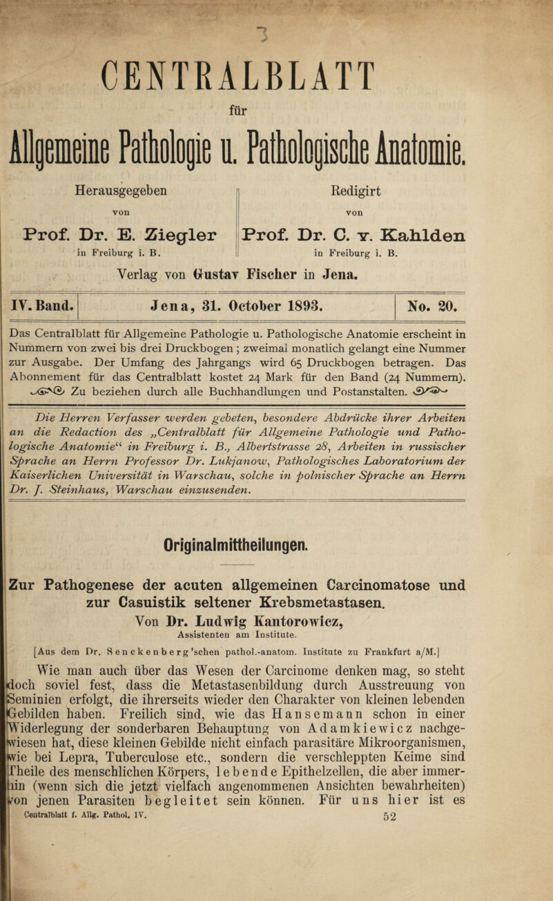 \ CENTRALBLATT für Allgemeine Pathologie u. Pathologische Anatomie. Herausgegeben Redigirt von Prof. Dr. E. Ziegler in Freiburg i. B. von Prof. Dr. C. v. Kahlden in Freiburg i. B. Verlag von Gustav Fischer in Jena. IV. Band. Jena, 31. October 1893. No. 20. Das Centralblatt für Allgemeine Pathologie u. Pathologische Anatomie erscheint in Nummern von zwei bis drei Druckbogen ; zweimal monatlich gelangt eine Nummer zur Ausgabe. Der Umfang des Jahrgangs wird 65 Druckbogen betragen. Das Abonnement für das Centralblatt kostet 24 Mark für den Band (24 Nummern). «-XSJN2; Zu beziehen durch alle Buchhandlungen und Postanstalten. Die Herren Verfasser werden gebeten, besondere Abdrücke ihrer Arbeiten an die Redaction des „Centralblatt für Allgemeine Pathologie und Patho¬ logische Anatomieu in Freiburg i. B., Albertstrasse 28, Arbeiten in russischer Sprache an Herrn Professor Dr. Lukjanow, Pathologisches Laboratorium der Kaiserlichen Universität in Warschau, solche in polnischer Sprache an Herrn Dr. J. Steinhaus, Warschau einzusenden. Originalmittheilungen. Zur Pathogenese der acuten allgemeinen Carcinomatose und zur Casuistik seltener Krebsmetastasen. Von Br. Ludwig Kantorowicz, Assistenten am Institute. [Aus dem Dr. S e n c k e n b e r g ’schen pathol.-anatom. Institute zu Frankfurt a/M.] Wie man auch über das Wesen der Carcinome denken mag, so steht doch soviel fest, dass die Metastasenbildung durch Ausstreuung von JSeminien erfolgt, die ihrerseits wieder den Charakter von kleinen lebenden Gebilden haben. Freilich sind, wie das Hansemann schon in einer Widerlegung der sonderbaren Behauptung von Adamkiewicz nachge¬ wiesen hat, diese kleinen Gebilde nicht einfach parasitäre Mikroorganismen, wie bei Lepra, Tuberculose etc., sondern die verschleppten Keime sind Theile des menschlichen Körpers, lebende Epithelzellen, die aber immer¬ hin (wenn sich die jetzt vielfach angenommenen Ansichten bewahrheiten) f/on jenen Parasiten begleitet sein können. Für uns hier ist es Centralblatt f. Allg. Pathol. IV. 52