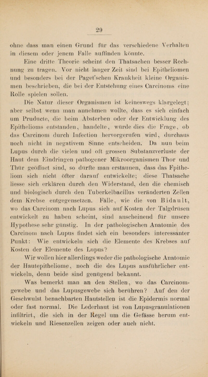 ohne dass man einen Grund für das verschiedene Verhalten in diesem oder jenem Falle auffinden könnte. Eine dritte Theorie scheint den Thatsachen besser Rech¬ nung' zu tragen. Vor nicht langer Zeit sind bei Epitheliomen und besonders bei der Paget’schen Krankheit kleine Organis¬ men beschrieben, die bei der Entstehung eines Carcinoms eine Rolle spielen sollen. Die Natur dieser Organismen ist keineswegs klargelegt; aber selbst wenn man annehmen wollte, dass es sich einfach um Pruducte, die beim Absterben oder der Entwicklung des Epithelioms entstanden, handelte, würde dies die Frage, ob das Careinom durch Infection hervorgerufen wird, durchaus noch nicht in negativem Sinne entscheiden. Da nun beim Lupus durch die vielen und oft grossen Substanzverluste der Haut dem Eindringen pathogener Mikroorganismen Thor und Thür geöffnet sind, so dürfte man erstaunen, dass das Fpithe- liom sich nicht öfter darauf entwickelte; diese Thatsache liesse sich erklären durch den Widerstand, den die chemisch und biologisch durch den Tuberkelbacillus veränderten Zellen dem Krebse entgegensetzen. Fälle, wie die von Bidault, wo das Carcinom nach Lupus sich auf Kosten der Talgdrüsen entwickelt zu haben scheint, sind anscheinend für unsere Hypothese sehr günstig. In der pathologischen Anatomie des Carcinom nach Lupus findet sich ein besonders interessanter Punkt: Wie entwickeln sich die Elemente des Krebses auf Kosten der Elemente des Lupus? Wir wollen hier allerdings weder die pathologische Anatomie der Hautepitheliome, noch die des Lupus ausführlicher ent¬ wickeln, denn beide sind genügend bekaimt. Was bemerkt man an den Stellen, wo das Carcinom- gewebe und das Lupusgewebe sich berühren? Auf den der Geschwulst benachbarten Hautstellen ist die Epidermis normal oder fast normal. Die Lederhaut ist von Lupusgranulationen infiltrirt, die sich in der Regel um die Gefässe herum ent¬ wickeln und Riesenzellen zeigen oder auch nicht.