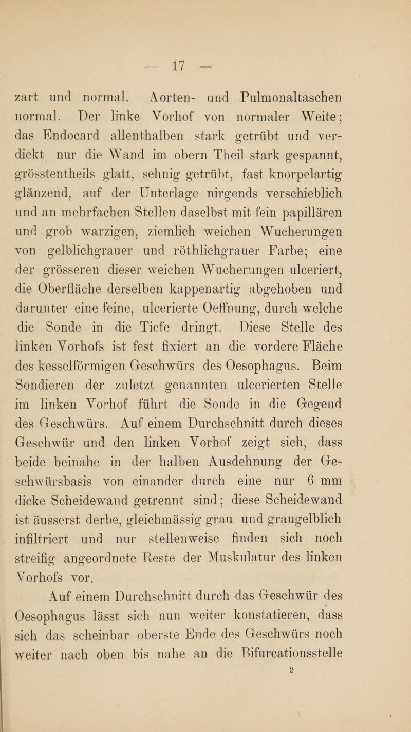 zart und normal. Aorten- und Pulmonaltaschen normal. Der linke Vorhof von normaler Weite; das Endocard allenthalben stark getrübt und ver- dickt nur die Wand im obern Theil stark gespannt, grösstentheils glatt, sehnig getrübt, fast knorpelartig glänzend, auf der Unterlage nirgends verschieblich und an mehrfachen Stellen daselbst mit fein papillären und grob warzigen, ziemlich weichen Wucherungen von gelblichgrauer und röthlichgrauer Farbe; eine der grösseren dieser weichen Wucherungen ulceriert, die Oberfläche derselben kappen artig abgehoben und darunter eine feine, ulcerierte Oeffhung, durch welche die Sonde in die Tiefe dringt. Diese Stelle des linken Vorhofs ist fest fixiert an die vordere Fläche des kesselförmigen Geschwürs des Oesophagus. Beim Sondieren der zuletzt genannten ulcerierten Stelle im linken Vorhof führt die Sonde in die Gegend des Geschwürs. Auf einem Durchschnitt durch dieses Geschwür und den linken Vorhof zeigt sich, dass beide beinahe in der halben Ausdehnung der Ge¬ schwür sbasis von einander durch eine nur 6 mm dicke Scheidewand getrennt sind; diese Scheidewand ist äusserst derbe, gleichmässig grau und graugelblich infiltriert und nur stellenweise finden sich noch streifig angeordnete Reste der Muskulatur des linken Vorhofs vor. Auf einem Durchschnitt durch das Geschwür des Oesophagus lässt sich nun weiter konstatieren, dass sich das scheinbar oberste Ende des Geschwürs noch weiter nach oben bis nahe an die Bifurcationsstelle 2