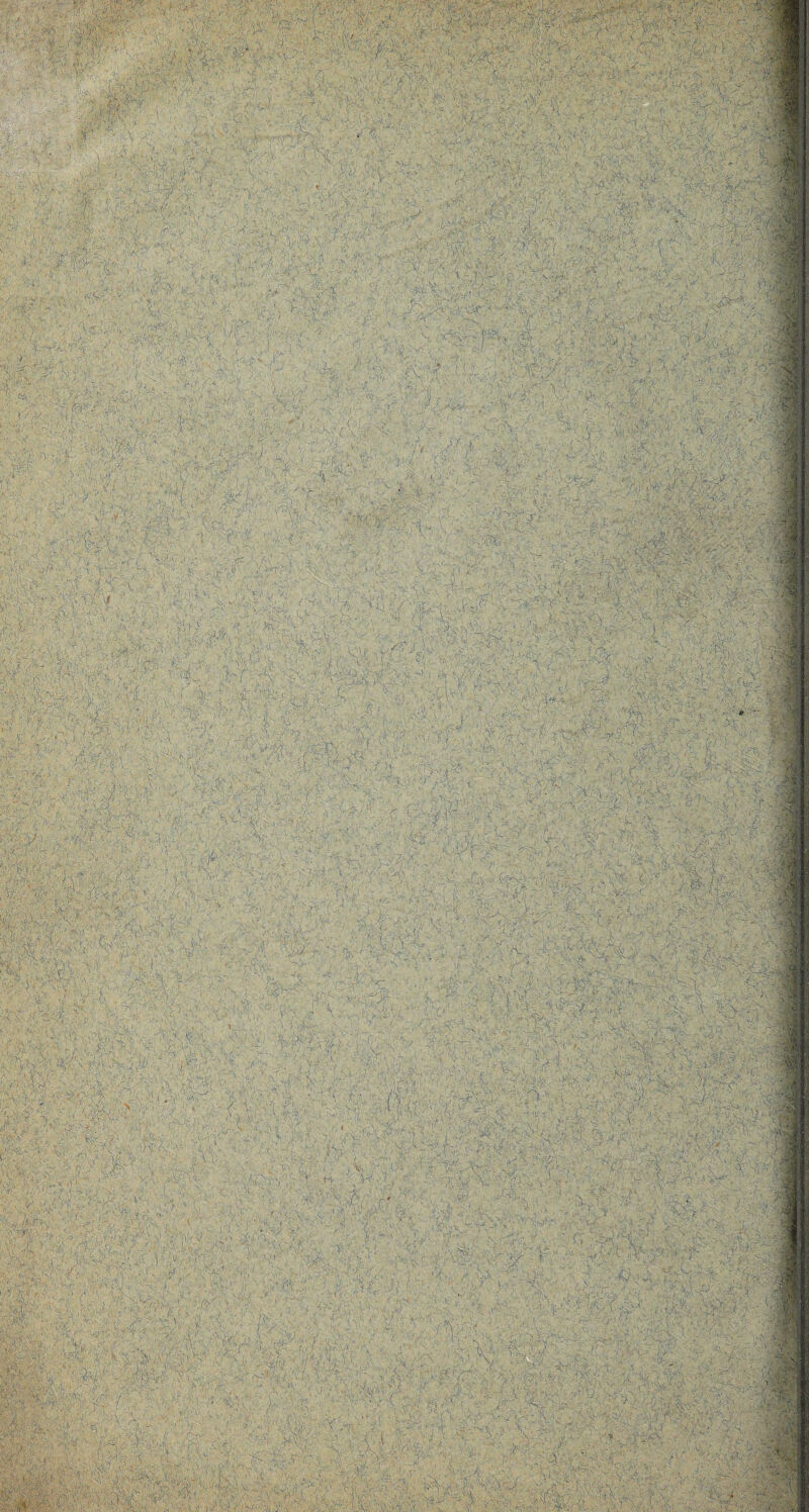 ay*-. : ■, ■ •:; m ' ,A ■ : ii,: V.*-' --.iX' &■&:**( jA-.i1 .X ■ .■>*..?:• ■■■• \.v C JM :