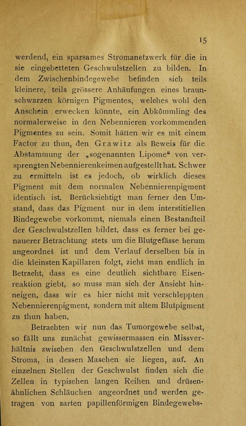 iS werdend, ein sparsames Stromanetzwerk für die in sie eingebetteten .Geschwulstzellen zu bilden. In dem Zwischenbindegewebe befinden sich teils kleinere, teils grössere Anhäufungen eines braun¬ schwarzen körnigen Pigmentes, welches wohl den Anschein erwecken könnte, ein Abkömmling des normalerweise in den Nebennieren vorkommenden Pigmentes zu sein. Somit hätten wir es mit einem Factor zu thun, den Grawitz als Beweis für die Abstammung der „sogenannten Lipome“ von ver¬ sprengten Nebennierenkeimen aufgestellt hat. Schwer zu ermitteln ist es jedoch, ob wirklich dieses Pigment mit dem normalen Nebennierenpigment identisch ist. Berücksichtigt man ferner den Um¬ stand, dass das Pigment nur in dem interstitiellen Bindegewebe vorkommt, niemals einen Bestandteil der Geschwulstzellen bildet, dass es ferner bei ge¬ nauerer Betrachtung stets um die Blutgefässe herum angeordnet ist und dem Verlauf derselben bis in die kleinsten Kapillaren folgt, zieht man endlich in Betracht, dass es eine deutlich sichtbare Eisen¬ reaktion giebt, so muss man sich der Ansicht hin¬ neigen, dass wir es hier nicht mit verschleppten Nebennierenpigment, sondern mit altem Blutpigment zu thun haben. Betrachten wir nun das Tumorgewebe selbst, so fällt uns zunächst gewissermassen ein Missver¬ hältnis zwischen den Geschwulstzellen und dem Stroma, in dessen Maschen sie liegen, auf. An einzelnen Stellen der Geschwulst finden sich die Zellen in typischen langen Reihen und drüsen¬ ähnlichen Schläuchen angeordnet und werden ge¬ tragen von zarten papillenförmigen Bindegewebs-