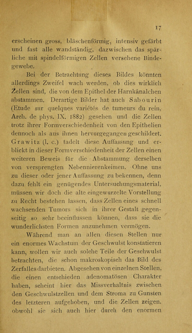 erscheinen gross, bläschenförmig, intensiv gefärbt und fast alle wandständig, dazwischen das spär¬ liche mit spindelförmigen Zellen versehene Binde¬ gewebe. Bei der Betrachtung dieses Bildes könnten allerdings Zweifel wach werden, ob dies wirklich Zellen sind, die von dem Epithel der Harnkänalchen abstammen. Derartige Bilder hat auch Sabourin (Etüde sur quelques Varietes de tumeurs du rein, Arch. de phys. IX. 1882) gesehen und die Zellen trotz ihrer Formverschiedenheit von den Epithelien dennoch als aus ihnen hervorgegangen geschildert. Grawitz (1. c.) tadelt diese Auffassung und er¬ blickt in dieser Formverschiedenheit der Zellen einen weiteren Beweis für die Abstammung derselben von versprengten Nebennierenkeimen. Ohne uns zu dieser oder jener Auffassung zu bekennen, denn dazu fehlt ein genügendes Untersuchungsmaterial, müssen wir doch die alte eingewurzelte Vorstellung zu Recht bestehen lassen, dass Zellen eines schnell wachsenden Tumors sich in ihrer Gestalt gegen¬ seitig so sehr beeinflussen können, dass sie die wunderlichsten Formen anzunehmen vermögen. Während man an allen diesen Stellen nur ein enormes Wachstum der Geschwulst konstatieren kann, wollen wir auch solche Teile der Geschwulst betrachten, die schon makroskopisch das Bild des Zerfalles darbieten. Abgesehen von einzelnen Stellen, die einen entschieden adenomatösen Charakter haben, scheint hier das Missverhältnis zwischen den Geschwulstzellen und dem Stroma zu Gunsten des letzteren aufgehoben, und die Zellen zeigen, obwohl sie sich auch hier durch den enormen