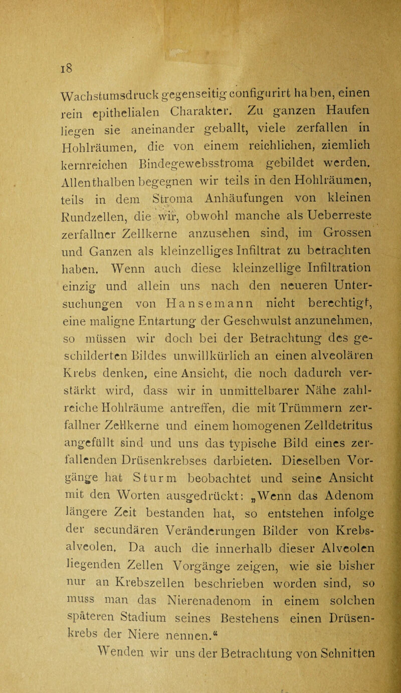 Wachstumsdruck gegenseitig configurirt haben, einen rein epithelialen Charakter. Zu ganzen Haufen liegen sie aneinander geballt, viele zerfallen in Hohl räumen, die von einem reichlichen, ziemlich kernreichen Bindegewebsstroma gebildet werden. Allenthalben begegnen wir teils in den Hohlräumen, teils in dem Stroma Anhäufungen von kleinen Rundzellen, die wir, obwohl manche als Ueberreste zerfallner Zellkerne anzusehen sind, im Grossen und Ganzen als kleinzelliges Infiltrat zu betrachten haben. Wenn auch diese kleinzellige Infiltration einzig: und allein uns nach den neueren Unter- <D> suchungen von Hansemann nicht berechtigt, eine maligne Entartung der Geschwulst anzunehmen, so müssen wir doch bei der Betrachtung des ge¬ schilderten Bildes unwillkürlich an einen alveolären Krebs denken, eine Ansicht, die noch dadurch ver¬ stärkt wird, dass wir in unmittelbarer Nähe zahl¬ reiche Hohlräume antreffen, die mit Trümmern zer¬ fallner Zellkerne und einem homogenen Zelldetritus angefüllt sind und uns das typische Bild eines zer¬ fallenden Drüsenkrebses darbieten. Dieselben Vor¬ gänge hat Sturm beobachtet und seine Ansicht mit den Worten ausgedrückt; „Wenn das Adenom längere Zeit bestanden hat, so entstehen infolge der secundären Veränderungen Bilder von Krebs¬ alveolen. Da auch die innerhalb dieser Alveolen hegenden Zellen Vorgänge zeigen, wie sie bisher nur an Krebszellen beschrieben worden sind, so muss man das Nierenadenom in einem solchen späteren Stadium seines Bestehens einen Drüsen¬ krebs der Niere nennen.“ Wenden wir uns der Betrachtung von Schnitten