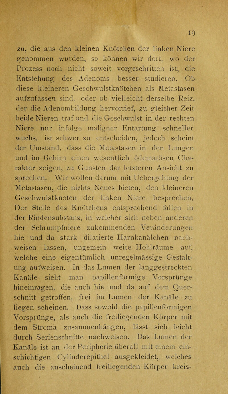 zu, die aus den kleinen Knötchen der linken Niere genommen wurden, so können wir dort, wo der Prozess noch nicht soweit vorgeschritten ist, die Entstehung des Adenoms besser studieren. Ob diese kleineren Geschwulstknötchen als Metastasen aufzufassen sind, oder ob vielleicht derselbe Reiz, der die Adenombildung hervorrief, zu gleicher Zeit beide Nieren traf und die Geschwulst in der rechten Niere nur infolge maligner Entartung schneller wuchs, ist schwer zu entscheiden, jedoch scheint der Umstand, dass die Metastasen in den Lungen und im Gehirn einen wesentlich ödematösen Cha¬ rakter zeigen, zu Gunsten der letzteren Ansicht zu sprechen. Wir wollen darum mit Uebergehung der Metastasen, die nichts Neues bieten, den kleineren Geschwulstknoten der linken Niere besprechen. Der Stelle des Knötchens entsprechend fallen in der Rindensubstanz, in welcher sich neben anderen der Schrumpfniere zukommenden Veränderungen hie und da stark dilatierte Harnkanälchen nach- weisen lassen, ungemein weite Hohl räume auf, welche eine eigentümlich unregelmässige Gestalt¬ ung aufweisen. In das Lumen der langgestreckten Kanäle sieht man papillenförmige Vorsprünge hineinragen, die auch hie und da auf dem Quer¬ schnitt getroffen, frei im Lumen der Kanäle zu liegen scheinen. Dass sowohl die papillenförmigen Vorsprünge, als auch die freiliegenden Körper mit dem Stroma Zusammenhängen, lässt sich leicht durch Serienschnitte nachweisen. Das Lumen der Kanäle ist an der Peripherie überall mit einem ein¬ schichtigen Cylinderepithel ausgekleidet, welches auch die anscheinend freiliegenden Körper kreis-