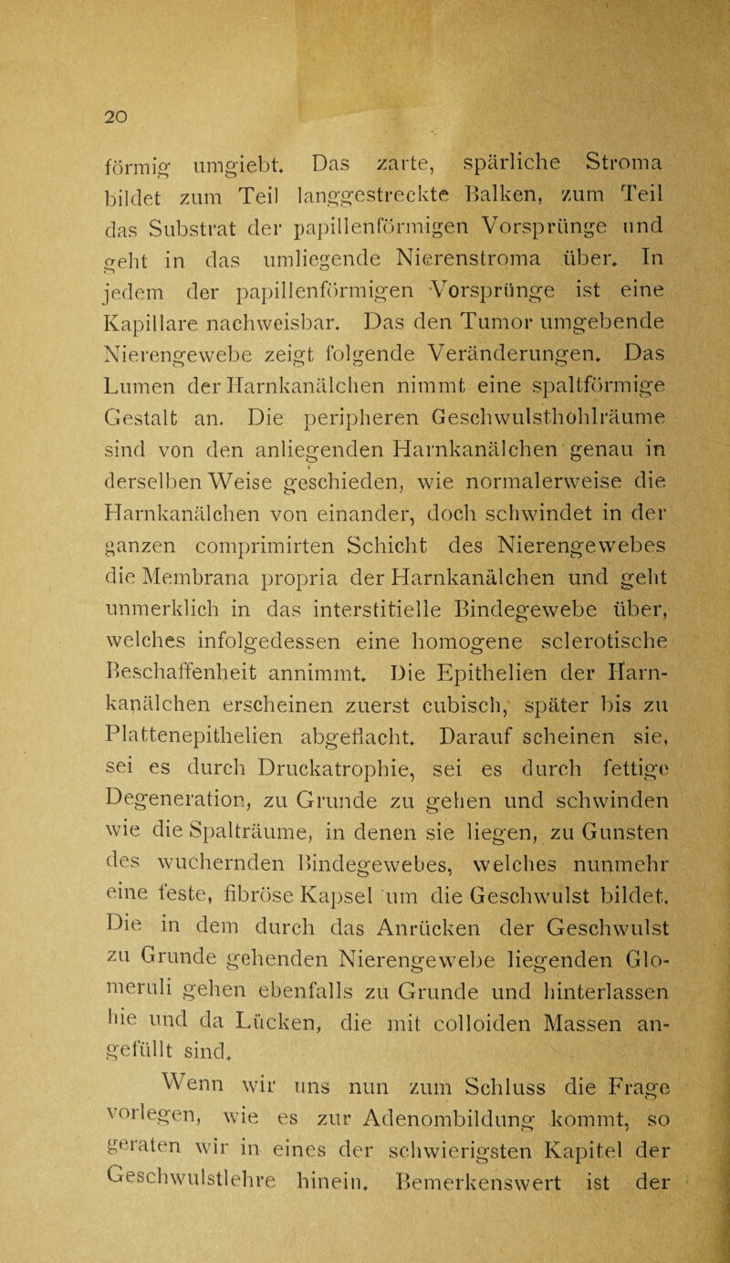 förmig umgiebt* Das zarte, spärliche Stroma bildet zum Teil langgestreckte Balken, zum Teil das Substrat der papillenförmigen Vorsprünge und geht in das umliegende Nierenstroma über* In jedem der papillenförmigen Vorsprünge ist eine Kapillare nachweisbar. Das den Tumor umgebende Nierengewebe zeigt folgende Veränderungen* Das Lumen der Harnkanälchen nimmt eine spaltförmige Gestalt an. Die peripheren Geschwulsthohlräume sind von den anliegenden Harnkanälchen genau in derselben Weise geschieden, wie normalerweise die Harnkanälchen von einander, doch schwindet in der ganzen comprimirten Schicht des Nierengewebes die Membrana propria der Harnkanälchen und geht unmerklich in das interstitielle Bindegewebe über, welches infolgedessen eine homogene sclerotische Beschaffenheit annimmt* Die Epithelien der Harn¬ kanälchen erscheinen zuerst cubisch, später bis zu Plattenepithelien abgeflacht* Darauf scheinen sie, sei es durch Druckatrophie, sei es durch fettige Degeneration, zu Grunde zu gehen und schwinden wie die Spalträume, in denen sie liegen, zu Gunsten des wuchernden Bindegewebes, welches nunmehr eine feste, fibröse Kapsel um die Geschwulst bildet. Die in dem durch das Anrücken der Geschwulst zu Grunde gehenden Nierengewebe liegenden Glo- meruli gehen ebenfalls zu Grunde und hinterlassen Sfie und da Lücken, die mit colloiden Massen an¬ gefüllt sind* Wenn wir uns nun zum Schluss die Frage vorlegen, wie es zur Adenombildung kommt, so geraten wir in eines der schwierigsten Kapitel der Geschwulstlehre hinein* Bemerkenswert ist der
