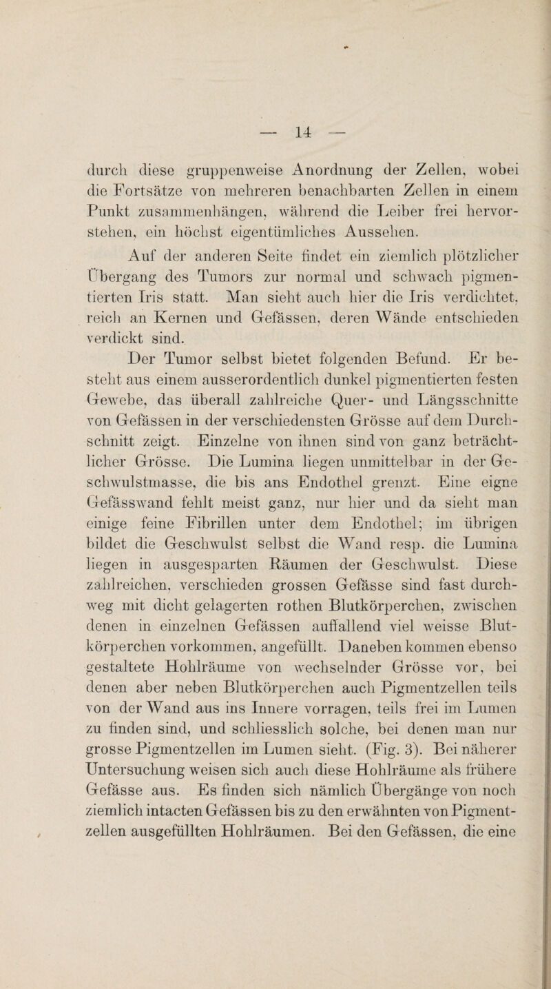 durch diese gruppenweise Anordnung der Zellen, wobei die Fortsätze von mehreren benachbarten Zellen in einem Punkt Zusammenhängen, während die Leiber frei hervor¬ stehen, ein höchst eigentümliches Aussehen. Auf der anderen Seite findet ein ziemlich plötzlicher Übergang des Tumors zur normal und schwach pigmen¬ tierten Iris statt. Man sieht auch hier die Iris verdichtet, reich an Kernen und Gefässen, deren Wände entschieden verdickt sind. Der Tumor selbst bietet folgenden Befund. Er be¬ steht aus einem ausserordentlich dunkel pigmentierten festen Gewebe, das überall zahlreiche Quer- und Längsschnitte von Gefässen in der verschiedensten Grösse auf dem Durch¬ schnitt zeigt. Einzelne von ihnen sind von ganz beträcht¬ licher Grösse. Die Lumina liegen unmittelbar in der Ge¬ schwulstmasse, die bis ans Endothel grenzt. Eine eigne Gefässwand fehlt meist ganz, nur hier und da sieht man einige feine Fibrillen unter dem Endothel; im übrigen bildet die Geschwulst selbst die Wand resp. die Lumina liegen in ausgesparten Bäumen der Geschwulst. Diese zahlreichen, verschieden grossen Gefässe sind fast durch¬ weg mit dicht gelagerten rothen Blutkörperchen, zwischen denen in einzelnen Gefässen auffallend viel weisse Blut¬ körperchen Vorkommen, angefüllt. Daneben kommen ebenso gestaltete Hohlräume von wechselnder Grösse vor, bei denen aber neben Blutkörperchen auch Pigmentzellen teils von der Wand aus ins Innere vorragen, teils frei im Lumen zu finden sind, und schliesslich solche, bei denen man nur grosse Pigmentzellen im Lumen sieht. (Fig. 3). Bei näherer Untersuchung weisen sich auch diese Hohlräume als frühere Gefässe aus. Es finden sich nämlich Übergänge von noch ziemlich intacten Gefässen bis zu den erwähnten von Pigment¬ zellen ausgefüllten Hohlräumen. Bei den Gefässen, die eine