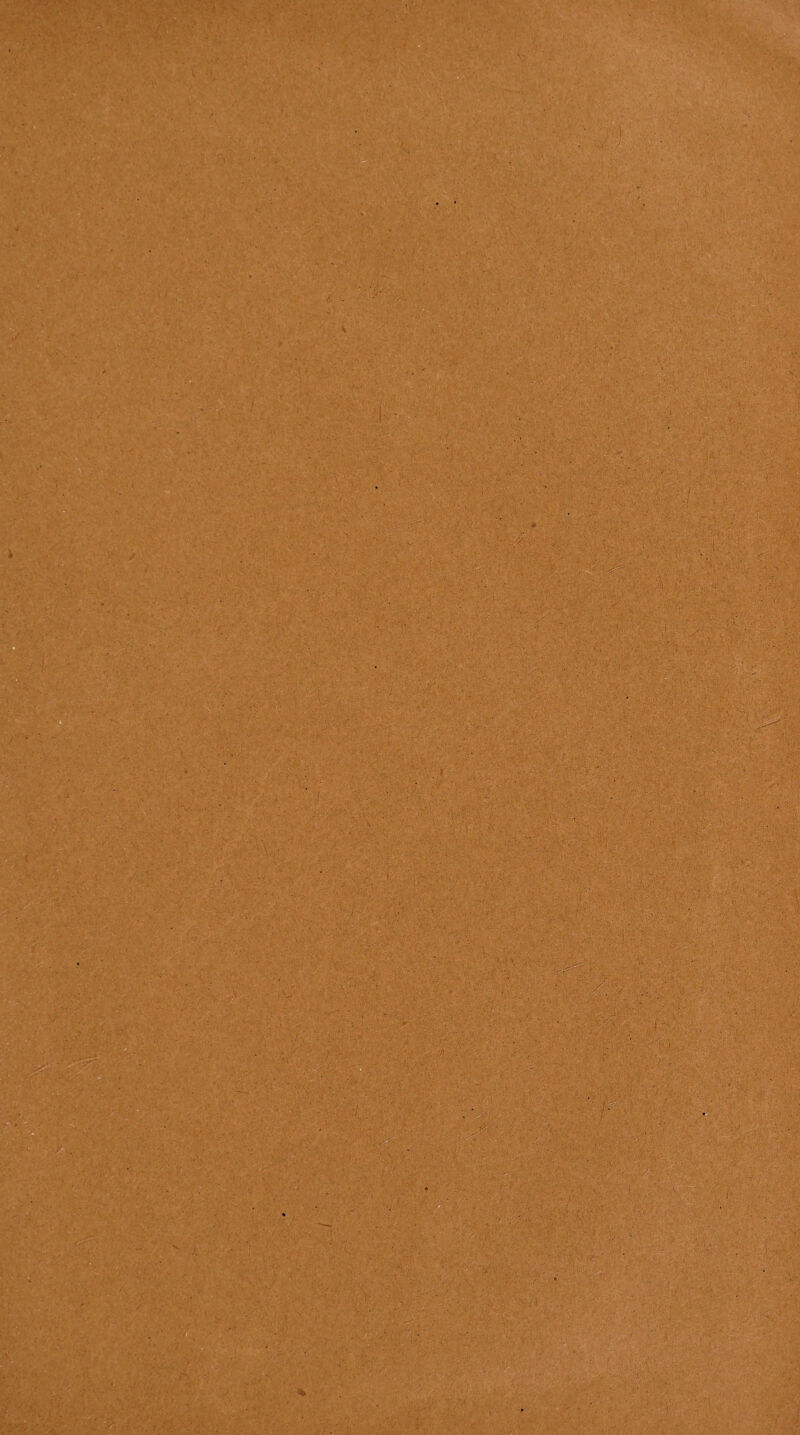 ' ' ' -• y/ • ■ . : ■ ’ ■ - V ■■ ■ . : -• . 0 • . • • • ■ - *' ■■ ■ ' • ■ • •/ • r?. . ' •• - - , •. v : ' . | • • ■ ' . • • • - • . • •.  , . ■ ' .. . ■ ■ • r ■ ' . ■ % • : V ■ . IX ■ •: ; ;:v, ■ 'v■ • ' 1 • • ’ ■', ■ . - ■ V-: ' -v - , y •>. ‘ e . . : .V' • • - • ‘ '.M •