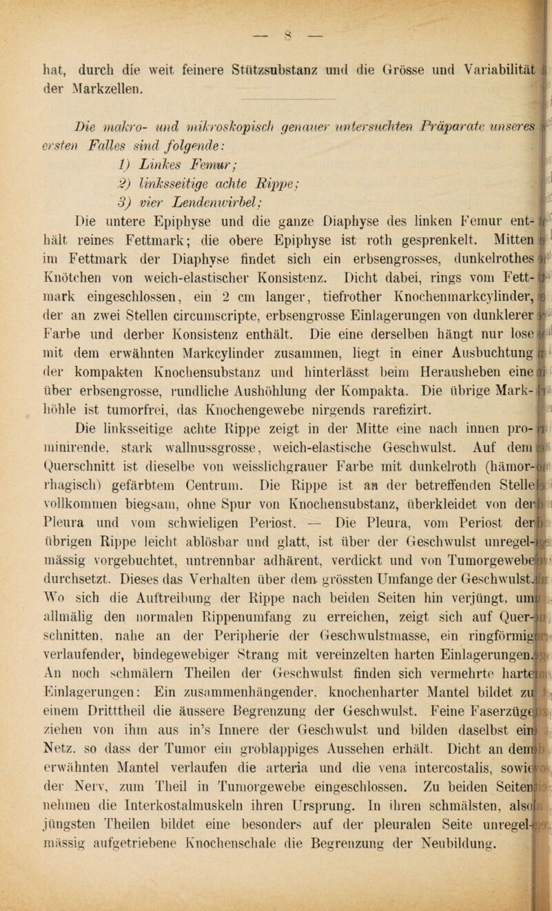 hat, durch die weit feinere Stützsubstanz und die Grösse und Variabilität der Markzellen. p Die makro- und mikroskopisch genauer untersuchten Präparate unseres ersten Falles sind folgende: 1) Linkes Femur; 2) linksseitige achte Rippe; 3) vier Lendenwirbel; Die untere Epiphyse und die ganze Diaphyse des linken Femur ent¬ hält reines Fettmark; die obere Epiphyse ist roth gesprenkelt. Mitten im Fettmark der Diaphyse findet sich ein erbsengrosses, dunkelrothes jM Knötchen von weich-elastischer Konsistenz. Dicht dabei, rings vom Fett¬ mark ein geschlossen, ein 2 cm langer, tiefrother Knochenmarkcylinder, der an zwei Stellen circumscripte, erbsengrosse Einlagerungen von dunklerer Farbe und derber Konsistenz enthält. Die eine derselben hängt nur lose k mit dem erwähnten Markcylinder zusammen, liegt in einer Ausbuchtung § der kompakten Knochensubstanz und hinterlässt beim Herausheben eine jri über erbsengrosse, rundliche Aushöhlung der Kompakta. Die übrige Mark-1 i'ffl höhle ist tumorfrei, das Knochengewebe nirgends rarefizirt. Die linksseitige achte Rippe zeigt in der Mitte eine nach innen pro- n minirende, stark wallnussgrosse, weich-elastische Geschwulst. Auf dem 41 Querschnitt ist dieselbe von weisslichgrauer Farbe mit dunkelroth (hämor-cfP rhagisch) gefärbtem Centrum. Die Rippe ist an der betreffenden Stelle! vollkommen biegsam, ohne Spur von Knochensubstanz, überkleidet von der! Pleura und vom schwieligen Periost. — Die Pleura, vom Periost der übrigen Rippe leicht ablösbar und glatt, ist über der Geschwulst unregel-e mässig vorgebuchtet, untrennbar adhärent, verdickt und von Tumorgewebe A' durchsetzt. Dieses das Verhalten über dem grössten Umfange der Geschwulst.! Wo sich die Auftreibung der Rippe nach beiden Seiten hin verjüngt, uim allmälig den normalen Rippenumfang zu erreichen, zeigt sich auf Quer-: schnitten, nahe an der Peripherie der Geschwulstmasse, ein ringförmig! verlaufender, bindegewebiger Strang mit vereinzelten harten Einlagerungen.; An noch schmälern Theilen der Geschwulst finden sich vermehrte härtete Einlagerungen: Ein zusammenhängender, knochenharter Mantel bildet zu einem Dritttheil die äussere Begrenzung der Geschwulst. Feine Faserzüg^j > ziehen von ihm aus in’s Innere der Geschwulst und bilden daselbst eim Netz, so dass der Tumor ein groblappiges Aussehen erhält. Dicht an denn erwähnten Mantel verlaufen die arteria und die vena intercostalis, sowie* der Nerv, zum Th eil in Tumorgewebe eingeschlossen. Zu beiden Seitens nehmen die Interkostalmuskeln ihren Ursprung. In ihren schmälsten, alsof jüngsten Theilen bildet eine besonders auf der pleuralen Seite unregeD, mässig aufgetriebene Knochenschale die Begrenzung der Neubildung.