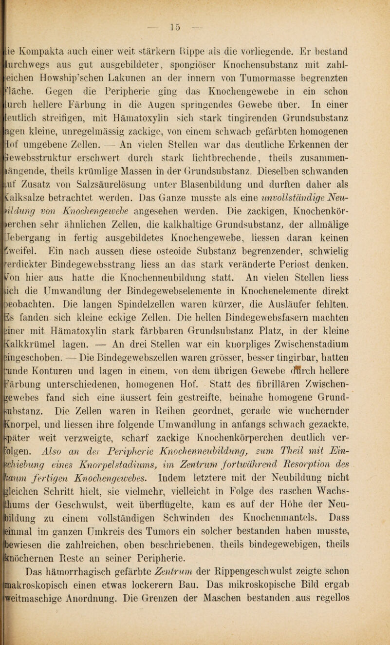 lie Kompakta auch einer weit starkem Hippe als die vorliegende. Er bestand lurcliwegs aus gut ausgebildeter, spongiöser Knochensubstanz mit zahl¬ eichen Howship’schen Lakunen an der innern von Tumormasse begrenzten ['lache. Gegen die Peripherie ging das Knochengewebe in ein schon urch hellere Färbung in die Augen springendes Gewebe über. In einer [entlieh streifigen, mit Hämatoxylin sich stark tingirenden Grundsubstanz [igen kleine, unregelmässig zackige, von einem schwach gefärbten homogenen lof umgebene Zellen. — An vielen Stellen war das deutliche Erkennen der jjfewebsstruktur erschwert durch stark lichtbrechende, theils zusammen¬ hängende, theils krümlige Massen in der Grundsubstanz. Dieselben schwanden luf Zusatz von Salzsäurelösung unter Blasenbildung und durften daher als iCalksalze betrachtet werden. Das Ganze musste als eine unvollständige Neu¬ bildung von Knochengewebe angesehen werden. Die zackigen, Knochenkör¬ perchen sehr ähnlichen Zellen, die kalkhaltige Grundsubstanz, der allmälige Liebergang in fertig ausgebddetes Knochengewebe, Hessen daran keinen pweifel. Ein nach aussen diese osteoide Substanz begrenzender, schwielig rerdickter Bindegewebsstrang Hess an das stark veränderte Periost denken, j/on hier aus hatte die Knochenneubildung statt. An vielen Stellen Hess ich die Umwandlung der Binclegewebselemente in Knochenelemente direkt )eobachten. Die langen Spindelzellen waren kürzer, die Ausläufer fehlten. 5s fanden sich kleine eckige Zellen. Die hellen Bindegewebsfasern machten iiner mit Hämatoxylin stark färbbaren Grundsubstanz Platz, in der kleine Aalkkrümel lagen. — An drei Stellen war ein knorpliges Zwischenstadium eingeschoben. — Die Bindegewebszellen waren grösser, besser tingirbar, hatten funde Konturen und lagen in einem, von dem übrigen Gewebe dtfreh hellere Färbung unterschiedenen, homogenen Hof. Statt des fibrillären Zwischen- ewebes fand sich eine äussert fein gestreifte, beinahe homogene Grund¬ tubstanz. Die Zellen waren in Reihen geordnet, gerade wie wuchernder (Knorpel, und Hessen ihre folgende Umwandlung in anfangs schwach gezackte, später weit verzweigte, scharf zackige Knochenkörperchen deutlich ver¬ folgen. Also cm der Peripherie Knochenneubildimg, zum Theil mit Ein- chiebung eines Knorpel Stadiums, im Zentrum fortivährend Resorption des kaum fertigen Knochengewebes. Indem letztere mit der Neubildung nicht (gleichen Schritt hielt, sie vielmehr, vielleicht in Folge des raschen Wachs¬ thums der Geschwulst, weit überflügelte, kam es auf der Höhe der Neu¬ bildung zu einem vollständigen Schwinden des Knochenmantels. Dass inmal im ganzen Umkreis des Tumors ein solcher bestanden haben musste, bewiesen die zahlreichen, oben beschriebenen, theils bindegewebigen, theils knöchernen Reste an seiner Peripherie. Das hämorrhagisch gefärbte Zentrum der Rippengeschwulst zeigte schon makroskopisch einen etwas lockerem Bau. Das mikroskopische Bild ergab weitmaschige Anordnung. Die Grenzen der Maschen bestanden aus regellos