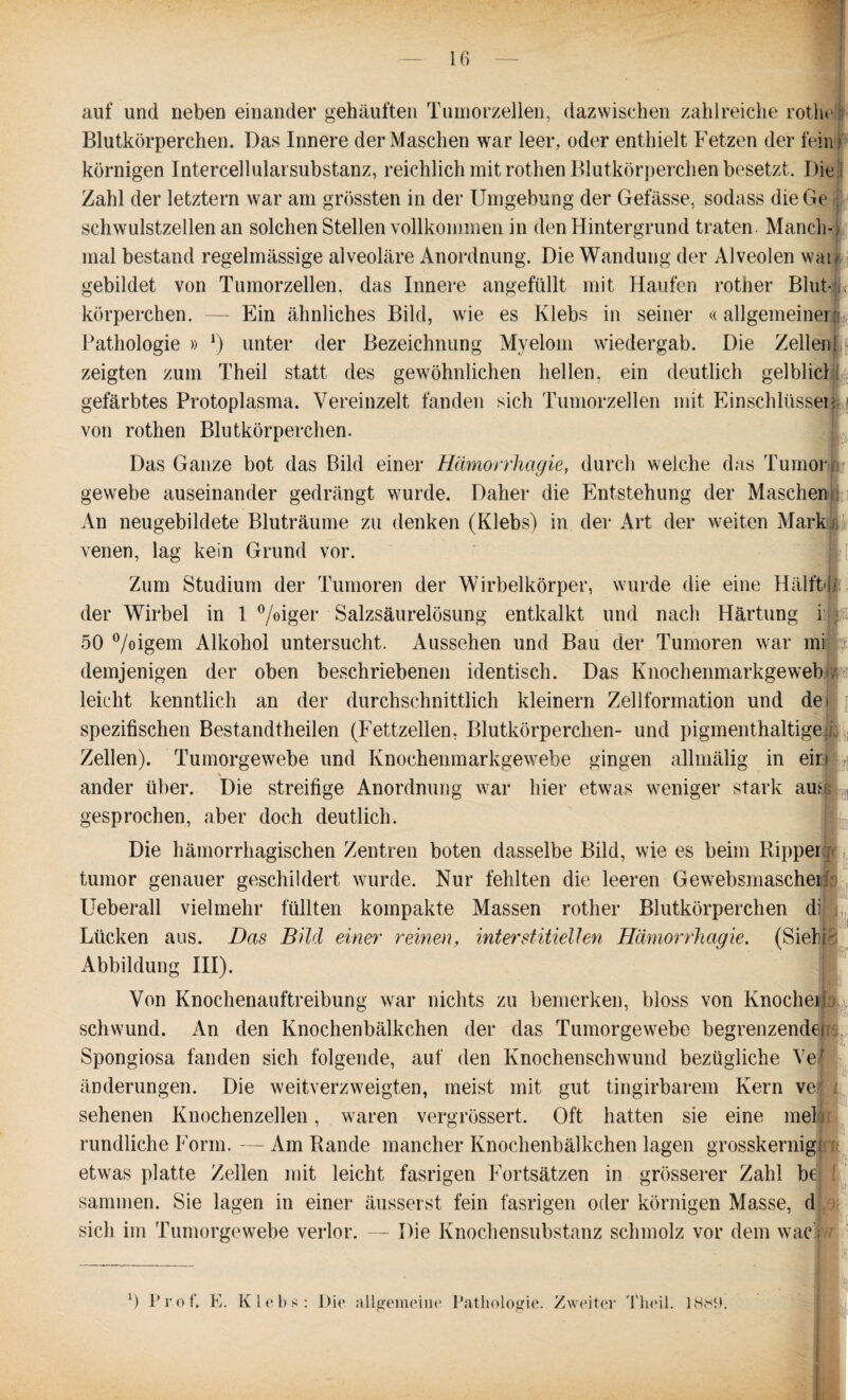 auf und neben einander gehäuften Tumorzellen, dazwischen zahlreiche rothe Blutkörperchen. Das Innere der Maschen war leer, oder enthielt Fetzen der fein? körnigen Intercellularsubstanz, reichlich mit rotlien Blutkörperchen besetzt. Die Zahl der letztem war am grössten in der Umgebung der Gefässe, sodass die Ge • schwulstzellen an solchen Stellen vollkommen in den Hintergrund traten. Manch-: mal bestand regelmässige alveoläre Anordnung. Die Wandung der Alveolen wau gebildet von Tumorzellen, das Innere angefüllt mit Haufen rother Blut-i körperchen. — Ein ähnliches Bild, wie es Klebs in seiner «allgemeiner: Pathologie » *) unter der Bezeichnung Myelom wiedergab. Die Zellen! zeigten zum Theil statt des gewöhnlichen hellen, ein deutlich gelblicl gefärbtes Protoplasma. Vereinzelt fanden sich Tumorzellen mit Einschlüssen von rothen Blutkörperchen. Das Ganze bot das Bild einer Hämorrhagie, durch welche das Tumor a gewebe auseinander gedrängt wurde. Daher die Entstehung der Maschen An neugebildete Bluträume zu denken (Klebs) in der Art der weiten Mark venen, lag kein Grund vor. Zum Studium der Tumoren der Wirbelkörper, wurde die eine Hälft«i der Wirbel in 1 %iger Salzsäurelösung entkalkt und nach Härtung i ja 50 °/oigem Alkohol untersucht. Aussehen und Bau der Tumoren war mi be demjenigen der oben beschriebenen identisch. Das Knochenmarkgeweb> leicht kenntlich an der durchschnittlich kleinern Zellformation und de < spezifischen Bestandteilen (Fettzellen, Blutkörperchen- und pigmenthaltige:; Zellen). Tumorgewebe und Knochenmarkgewebe gingen allmälig in ein * ander über. Die streifige Anordnung war hier etwas weniger stark aus gesprochen, aber doch deutlich. Die hämorrhagischen Zentren boten dasselbe Bild, wie es beim Kipper tumor genauer geschildert wurde. Nur fehlten die leeren Gewebsmascher Ueberall vielmehr füllten kompakte Massen rother Blutkörperchen di Lücken aus. Das Bild einer reinen, interstitiellen Hämorrhagie. (Sieb|8 Abbildung III). Von Knochenauftreibung war nichts zu bemerken, bloss von Knochen: Schwund. An den Knochenbälkchen der das Tumorgewebe begrenzenden. Spongiosa fanden sich folgende, auf den Knochenschwund bezügliche Vef änderungen. Die weitverzweigten, meist mit gut tingirbarem Kern ve: sehenen Knochenzellen, waren vergrössert. Oft hatten sie eine mein rundliche Form. — Am Bande mancher Knochenbälkchen lagen grosskernigr etwas platte Zellen mit leicht fasrigen Fortsätzen in grösserer Zahl bei sammen. Sie lagen in einer äusserst fein fasrigen oder körnigen Masse, d sich im Tumorgewebe verlor. — Die Knochensubstanz schmolz vor dem war; *) Prof, E. Kleb«: Die allgemeine Pathologie. Zweiter Theil. 18«S9.