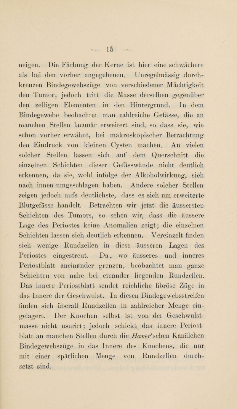 neigen. Die Färbung der Kerne ist hier eine schwächere als bei den vorher angegebenen. Unregelmässig durch¬ kreuzen Bindegewebszüge von verschiedener Mächtigkeit den Tumor, jedoch tritt die Masse derselben gegenüber den zelligen Elementen in den Hintergrund. In dem Bindegewebe beobachtet man zahlreiche Gefässe, die an manchen Stellen lacunär erweitert sind, so dass sie, wie schon vorher erwähnt, bei makroskopischer Betrachtung den Eindruck von kleinen Cysten machen. Au vielen solcher Stellen lassen sich auf dem Querschnitt die einzelnen Schichten dieser Gefässwände nicht deutlich erkennen, da sie, wohl infolge der Alkoholwirkung, sich nach innen umgeschlagen haben. Andere solcher Stellen zeigen jedoch aufs deutlichste, dass es sich um erweiterte Blutgefässe handelt. Betrachten wir jetzt die äussersten Schichten des Tumors, so sehen wir, dass die äussere Lage des Periostes keine Anomalien zeigt; die einzelnen Schichten lassen sich deutlich erkennen. Vereinzelt finden sich wenige Rundzellen in diese äusseren Lagen des Periostes eingestreut. Da, wo äusseres und inneres Periostblatt aneinander grenzen, beobachtet man ganze Schichten von nahe bei einander liegenden Rundzellen. Das innere Periostblatt sendet reichliche fibröse Züge in das innere der Geschwulst. In diesen Bindegewebsstreifen finden sich überall Rundzellen in zahlreicher Menge ein¬ gelagert. Der Knochen selbst ist von der Geschwulst¬ masse nicht usurirt; jedoch schickt das innere Periost¬ blatt an manchen Stellen durch die llaver sehen Kanälchen Bindegewebszüge in das Innere des Knochens, die nur mit einer spärlichen Menge von Rundzellen durch¬ setzt sind.