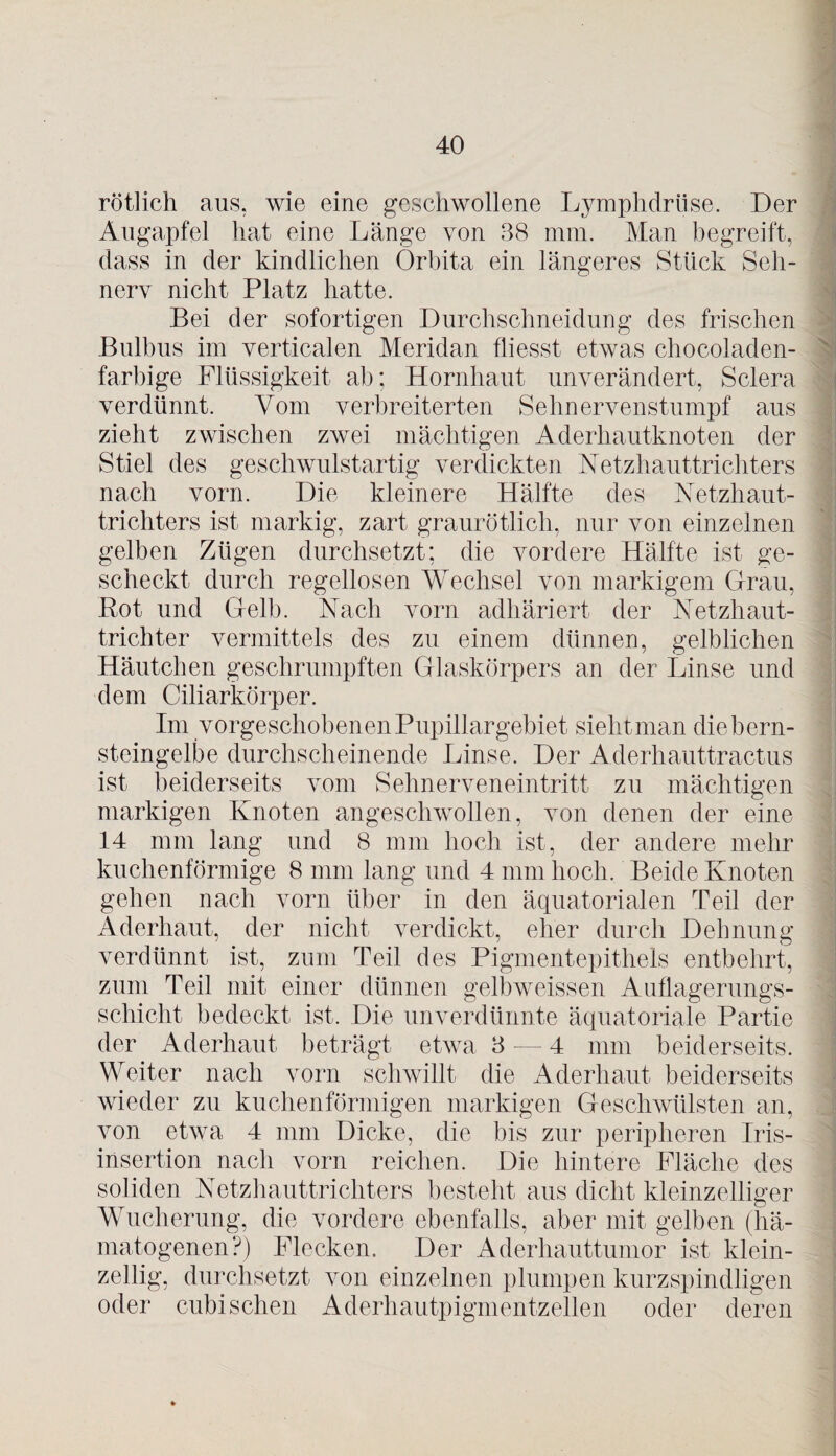 rötlich aus. wie eine geschwollene Lymphdrüse. Der Augapfel hat eine Länge von 38 mm. Man begreift, dass in der kindlichen Orbita ein längeres Stück Seh¬ nerv nicht Platz hatte. Bei der sofortigen Durchschneidung des frischen Bulbus im verticalen Meridan fliesst etwas chocoladen- farbige Flüssigkeit ab; Hornhaut unverändert, Sclera verdünnt. Vom verbreiterten Sehnervenstumpf aus zieht zwischen zwei mächtigen Aderhautknoten der Stiel des geschwulstartig verdickten Netzhauttrichters nach vorn. Die kleinere Hälfte des Netzhaut¬ trichters ist markig, zart graurötlich, nur von einzelnen gelben Zügen durchsetzt; die vordere Hälfte ist ge¬ scheckt durch regellosen Wechsel von markigem Grau, Rot und Gelb. Nach vorn adhäriert der Netzhaut¬ trichter vermittels des zu einem dünnen, gelblichen Häutchen geschrumpften Glaskörpers an der Linse und dem Ciliarkörper. Im vorgeschobenen Pupillargebiet sieht man diebern¬ steingelbe durchscheinende Linse. Der Aderhauttractus ist beiderseits vom Sehnerveneintritt zu mächtigen markigen Knoten angeschwollen, von denen der eine 14 mm lang und 8 mm hoch ist, der andere mehr kuchenförmige 8 mm lang und 4 mm hoch. Beide Knoten gehen nach vorn über in den äquatorialen Teil der Aderhaut, der nicht verdickt, eher durch Dehnung verdünnt ist, zum Teil des Pigmentepithels entbehrt, zum Teil mit einer dünnen gelbweissen Auflagerungs- schicht bedeckt ist. Die unverdünnte äquatoriale Partie der Aderhaut beträgt etwa 3 — 4 mm beiderseits. Weiter nach vorn schwillt die Aderhaut beiderseits wieder zu kuchenförmigen markigen Geschwülsten an, von etwa 4 mm Dicke, die bis zur peripheren Iris¬ insertion nach vorn reichen. Die hintere Fläche des soliden Netzhauttrichters besteht aus dicht kleinzelliger Wucherung, die vordere ebenfalls, aber mit gelben (hä¬ matogenen?) Flecken. Der Aderhauttumor ist klein¬ zellig, durchsetzt von einzelnen plumpen kurzspindligen oder cubisehen Aderhautpigmentzellen oder deren