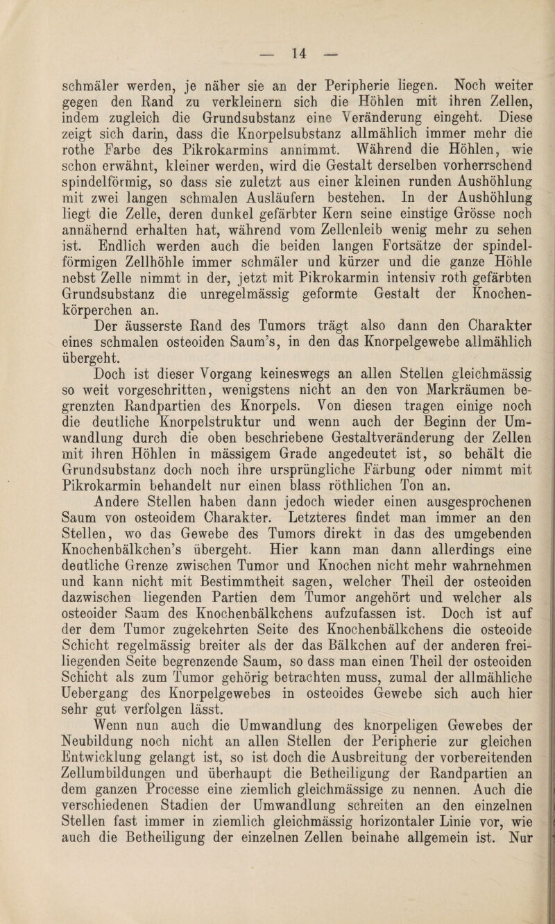 schmäler werden, je näher sie an der Peripherie liegen. Noch weiter gegen den Rand zu verkleinern sich die Höhlen mit ihren Zellen, indem zugleich die Grundsubstanz eine Veränderung eingeht. Diese zeigt sich darin, dass die Knorpelsubstanz allmählich immer mehr die rothe Karbe des Pikrokarmins annimmt. Während die Höhlen, wie schon erwähnt, kleiner werden, wird die Gestalt derselben vorherrschend spindelförmig, so dass sie zuletzt aus einer kleinen runden Aushöhlung mit zwei langen schmalen Ausläufern bestehen. In der Aushöhlung liegt die Zelle, deren dunkel gefärbter Kern seine einstige Grösse noch annähernd erhalten hat, während vom Zellenleib wenig mehr zu sehen ist. Endlich werden auch die beiden langen Fortsätze der spindel¬ förmigen Zellhöhle immer schmäler und kürzer und die ganze Höhle nebst Zelle nimmt in der, jetzt mit Pikrokarmin intensiv roth gefärbten Grundsubstanz die unregelmässig geformte Gestalt der Knochen¬ körperchen an. Der äusserste Rand des Tumors trägt also dann den Charakter eines schmalen osteoiden Saum’s, in den das Knorpelgewebe allmählich übergeht. Doch ist dieser Vorgang keineswegs an allen Stellen gleichmässig so weit vorgeschritten, wenigstens nicht an den von Markräumen be¬ grenzten Randpartien des Knorpels. Von diesen tragen einige noch die deutliche Knorpelstruktur und wenn auch der Beginn der Um¬ wandlung durch die oben beschriebene Gestaltveränderung der Zellen mit ihren Höhlen in mässigem Grade angedeutet ist, so behält die Grundsubstanz doch noch ihre ursprüngliche Färbung oder nimmt mit Pikrokarmin behandelt nur einen blass röthlichen Ton an. Andere Stellen haben dann jedoch wieder einen ausgesprochenen Saum von osteoidem Charakter. Letzteres findet man immer an den Stellen, wo das Gewebe des Tumors direkt in das des umgebenden Knochenbälkchen’s übergeht. Hier kann man dann allerdings eine deutliche Grenze zwischen Tumor und Knochen nicht mehr wahrnehmen und kann nicht mit Bestimmtheit sagen, welcher Theil der osteoiden dazwischen liegenden Partien dem Tumor an gehört und welcher als osteoider Saum des Knochenbälkchens aufzufassen ist. Doch ist auf der dem Tumor zugekehrten Seite des Knochenbälkchens die osteoide Schicht regelmässig breiter als der das Bälkchen auf der anderen frei¬ liegenden Seite begrenzende Saum, so dass man einen Theil der osteoiden Schicht als zum Tumor gehörig betrachten muss, zumal der allmähliche Uebergang des Knorpelgewebes in osteoides Gewebe sich auch hier sehr gut verfolgen lässt. Wenn nun auch die Umwandlung des knorpeligen Gewebes der Neubildung noch nicht an allen Stellen der Peripherie zur gleichen Entwicklung gelangt ist, so ist doch die Ausbreitung der vorbereitenden Zellumbildungen und überhaupt die Betheiligung der Randpartien an dem ganzen Processe eine ziemlich gleichmässige zu nennen. Auch die verschiedenen Stadien der Umwandlung schreiten an den einzelnen Stellen fast immer in ziemlich gleichmässig horizontaler Linie vor, wie auch die Betheiligung der einzelnen Zellen beinahe allgemein ist. Nur