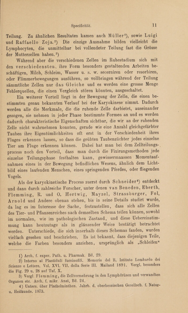 Teilung. Zu ähnlichen Resultaten kamen auch Müller1), sowie Luigi und Raffaello Zoja.2) Die einzige Ausnahme bilden vielleicht die Lymphocyten, die unmittelbar bei vollendeter Teilung fast die Grösse der Mutterzellen haben.3) Während aber die verschiedenen Zellen im Ruhestadium sich mit den verschiedensten, ihre Form besonders gestaltenden Arbeiten be¬ schäftigen, Milch, Schleim, Wasser u. s. w. secerniren oder resorbiren, oder Flimmerbewegungen ausführen, so vollbringen während der Teilung sämmtliche Zellen nur das Gleiche und es werden eine grosse Menge Fehlerquellen, die einen Vergleich stören könnten, ausgeschaltet. Ein weiterer Vorteil liegt in der Bewegung der Zelle, die einen be¬ stimmten genau bekannten Verlauf bei der Karyokinese nimmt. Dadurch werden alle die Merkmale, die die ruhende Zelle darbietet, auseinander gezogen, sie nehmen in jeder Phase bestimmte Formen an und es werden dadurch charakteristische Eigenschaften sichtbar, die wir an der ruhenden Zelle nicht wahrnehmen konnten, gerade wie eine Anzahl gleichgefärbter Tauben ihre Eigentümlichkeiten oft erst in der Verschiedenheit ihres Fluges erkennen lassen, so dass die geübten Taubenzüchter jedes einzelne Tier am Fluge erkennen können. Dabei hat man bei dem Zellteilungs-, process noch den Vorteil, dass man durch die Fixirungsmethoden jede einzelne Teilungsphase festhalten kann, gewissermaassen Momentauf¬ nahmen eines in der Bewegung befindlichen Wesens, ähnlich dem Licht¬ bild eines laufenden Menschen, eines springenden Pferdes, oder fliegenden Vogels. Als der karyokinetische Process zuerst durch Schneider4) entdeckt und dann durch zahlreiche Forscher, unter denen van Beneden, Eberth, Flemming, R. und 0. Hertwig, Mayzel, Strassburger, Fol, Arnold und Andere obenan stehen, bis in seine Details studirt wurde, da lag es im Interesse der Sache, festzustellen, dass sich alle Zellen des Tier- und Pflanzenreiches nach demselben Schema teilen können, sowohl im normalen, wie im pathologischen Zustand, und diese Uebereinstim- mung kann heutzutage als in glänzender Weise bestätigt betrachtet werden. Unterschiede, die sich innerhalb dieses Schemas fanden, wurden vielfach gesehen und beschrieben. Es ist bekannt, dass diejenigen Teile, welche die Farben besonders anziehen, ursprünglich als „Schleifen“ 1) Arch. f. exper. Path. u. Pharmak. BcS. 29. 2) Intorno ai Plastiduli fucsinofili. Memorie del K. Istituto Lombardo dei Scienze e Lettere. Vol. XVI. VII. della Serie III. Mailand 1891. Vergl. besonders die Fig. 29 u. 28 auf Taf. X. 3) Vergl. Flemming, die Zellvermehrung in den Lympkdrüsen und verwandten Organen etc. Arch. f. mikr. Anat. Bd. 24. 4) Unters, über Plathelminthen. Jahrb. d. oberhessischen Gesellsch. f, Xatur- u. Heilkunde. 1873.