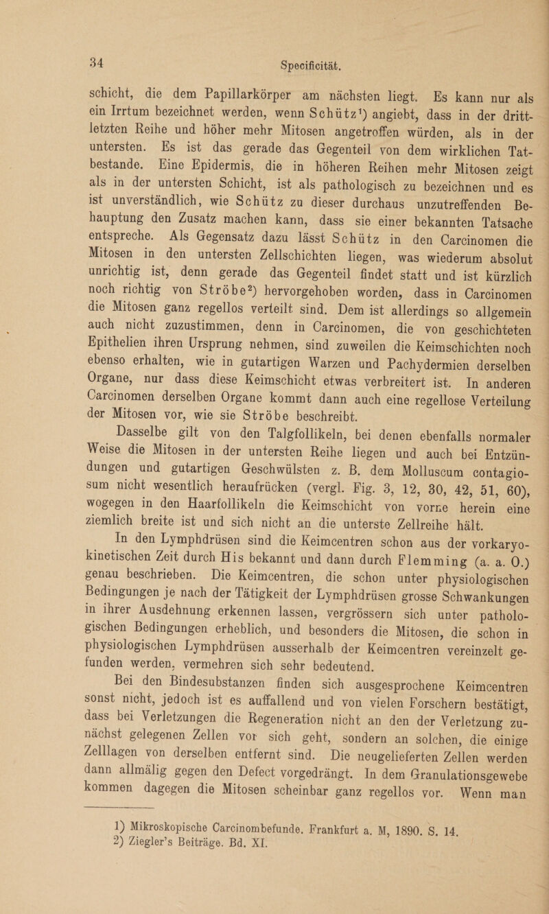 schioht, aie dem Papillarkörper am nächsten liegt» Es kann nur als ein Irrtum bezeichnet werden, wenn Schütz1) angiebt, dass in der dritt¬ letzten Reihe und höher mehr Mitosen angetroffen würden, als in der untersten. Es ist das gerade das Gegenteil von dem wirklichen Tat¬ bestände. Eine Epidermis, die in höheren Reihen mehr Mitosen zeigt als in dei untersten Schicht, ist als pathologisch zu bezeichnen und es ist unverständlich, wie Schütz zu dieser durchaus unzutreffenden Be¬ hauptung den Zusatz machen kann, dass sie einer bekannten Tatsache entspreche. Als Gegensatz dazu lässt Schütz in den Carcinomen die Mitosen in den untersten Zellschichten liegen, was wiederum absolut unrichtig ist, denn gerade das Gegenteil findet statt und ist kürzlich noch richtig von Ströbe2) hervorgehoben worden, dass in Carcinomen die Mitosen ganz regellos verteilt sind. Dem ist allerdings so allgemein auch nicht zuzustimmen, denn in Carcinomen, die von geschichteten Epithelien ihren Ursprung nehmen, sind zuweilen die Keimschichten noch ebenso erhalten, wie in gutartigen Warzen und Pachydermien derselben Organe, nur dass diese Keimschicht etwas verbreitert ist. In anderen Carcinomen derselben Organe kommt dann auch eine regellose Verteilung der Mitosen vor, wie sie Ströbe beschreibt. Dasselbe gilt von den Talgfollikeln, bei denen ebenfalls normaler Weise die Mitosen in der untersten Reihe liegen und auch bei Entzün¬ dungen und gutartigen Geschwülsten z. B. dem Molluscum contagio¬ sum nicht wesentlich heraufrücken (vergl. Fig. 3, 12, 30, 42, 51, 60), wogegen in den Haarfollikeln die Keimschicht von vorne herein eine ziemlich breite ist und sich nicht an die unterste Zellreihe hält. In den Lymphdrüsen sind die Keimcentren schon aus der vorkaryo- kinetischen Zeit durch His bekannt und dann durch Flemming (a. a. 0.) genau beschrieben. Die Keimcentren, die schon unter physiologischen Bedingungen je nach der Tätigkeit der Lymphdrüsen grosse Schwankungen in ihrer Ausdehnung erkennen lassen, vergrössern sich unter patholo¬ gischen Bedingungen erheblich, und besonders die Mitosen, die schon in physiologischen Lymphdrüsen ausserhalb der Keimcentren vereinzelt ge¬ funden werden, vermehren sich sehr bedeutend. Bei den Bindesubstanzen finden sich ausgesprochene Keimcentren sonst nicht, jedoch ist es auffallend und von vielen Forschern bestätigt, dass bei Verletzungen die Regeneration nicht an den der Verletzung zu¬ nächst gelegenen Zellen vor sich geht, sondern an solchen, die einige Zelllagen von derselben entfernt sind. Die neugelieferten Zellen werden dann allmälig gegen den Defect vorgedrängt. In dem Granulationsgewebe kommen dagegen die Mitosen scheinbar ganz regellos vor. Wenn man 1) Mikroskopische Carcinombefunde. Frankfurt a. M, 1890. S. 14. 2) Ziegler’s Beiträge. Bd. XI.