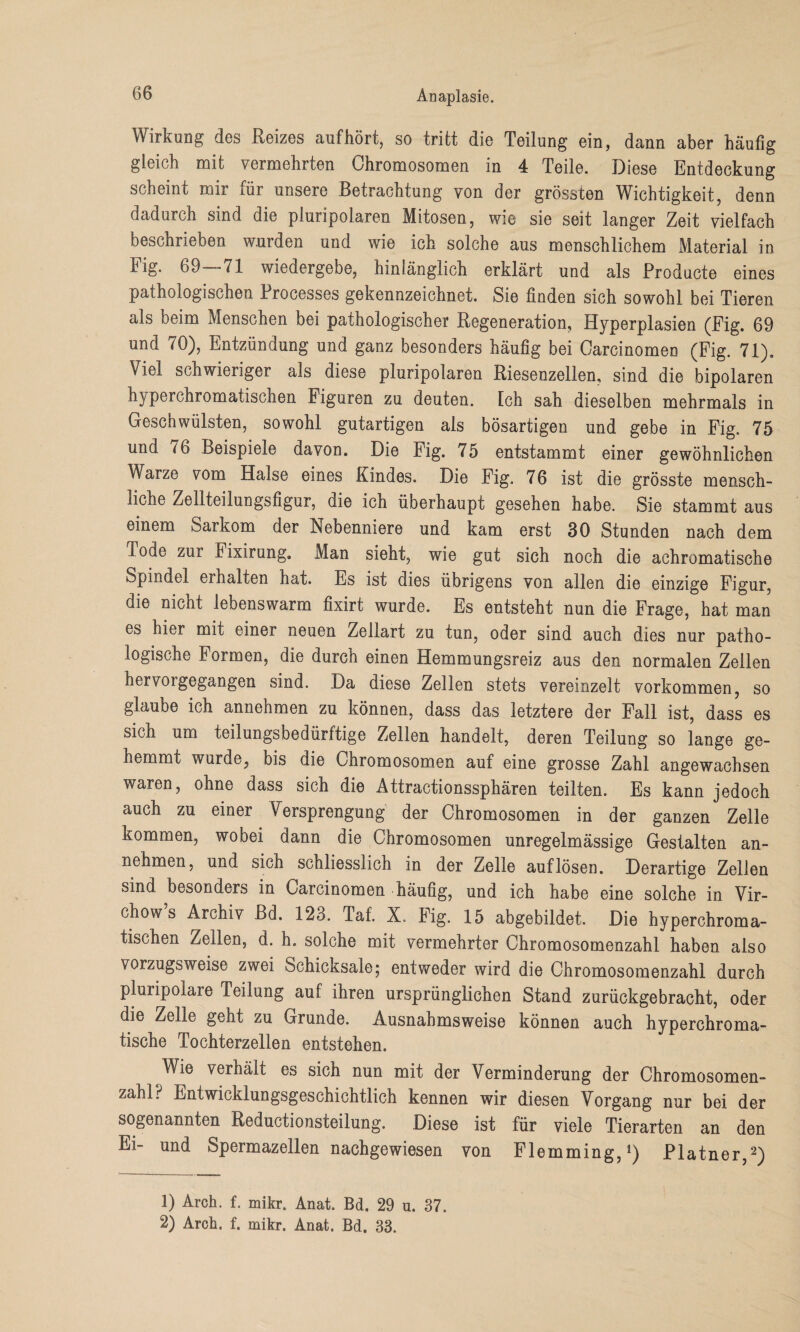 Wirkung des Reizes auf hört, so tritt die Teilung ein, dann aber häufig gleich mit vermehrten Chromosomen in 4 Teile. Diese Entdeckung scheint mir für unsere Betrachtung von der grössten Wichtigkeit, denn dadurch sind die pluripolaren Mitosen, wie sie seit langer Zeit vielfach beschrieben wurden und wie ich solche aus menschlichem Material in Fig. 69—71 wiedergebe, hinlänglich erklärt und als Producte eines pathologischen Processes gekennzeichnet. Sie finden sich sowohl bei Tieren als beim Menschen bei pathologischer Regeneration, Hyperplasien (Fig. 69 und 70), Entzündung und ganz besonders häufig bei Carcinomen (Fig. 71). Viel schwieriger als diese pluripolaren Riesenzellen, sind die bipolaren hyperchromatischen Figuren zu deuten. Ich sah dieselben mehrmals in Geschwülsten, sowohl gutartigen als bösartigen und gebe in Fig. 75 und 76 Beispiele davon. Die Fig. 75 entstammt einer gewöhnlichen Warze vom Halse eines Kindes. Die Fig. 76 ist die grösste mensch¬ liche Zellteilungsfigur, die ich überhaupt gesehen habe. Sie stammt aus einem Sarkom der Nebenniere und kam erst 30 Stunden nach dem lode zur Fixirung. Man sieht, wie gut sich noch die achromatische Spindel erhalten hat. Es ist dies übrigens von allen die einzige Figur, die nicht lebenswarm fixirt wurde. Es entsteht nun die Frage, hat man es hier mit einer neuen Zellart zu tun, oder sind auch dies nur patho¬ logische Formen, die durch einen Hemmungsreiz aus den normalen Zellen hervorgegangen sind. Da diese Zellen stets vereinzelt Vorkommen, so glaube ich annehmen zu können, dass das letztere der Fall ist, dass es sich um teilungsbedürftige Zellen handelt, deren Teilung so lange ge¬ hemmt wurde, bis die Chromosomen auf eine grosse Zahl angewachsen waren, ohne dass sich die Attractionssphären teilten. Es kann jedoch auch zu einer Versprengung der Chromosomen in der ganzen Zelle kommen, wobei dann die Chromosomen unregelmässige Gestalten an¬ nehmen, und sich schliesslich in der Zelle auf lösen. Derartige Zellen sind besonders in Carcinomen häufig, und ich habe eine solche in Vir- chow’s Archiv Bd. 123. Taf. X. Fig. 15 abgebildet. Die hyperchroma¬ tischen Zellen, d. h. solche mit vermehrter Chromosomenzahl haben also vorzugsweise zwei Schicksale; entweder wird die Chromosomenzahl durch pluripolare Teilung auf ihren ursprünglichen Stand zurückgebracht, oder die Zelle geht zu Grunde. Ausnahmsweise können auch hyperchroma¬ tische Tochterzellen entstehen. Wie verhält es sich nun mit der Verminderung der Chromosomen¬ zahl ? Entwicklungsgeschichtlich kennen wir diesen Vorgang nur bei der sogenannten Reductionsteilung. Diese ist für viele Tierarten an den Ei- und Spermazellen nachgewiesen von Flemming,1) Platner,2) 1) Arch. f. mikr. Anat. Bd. 29 u. 37. 2) Arch. f. mikr. Anat. Bd. 33.