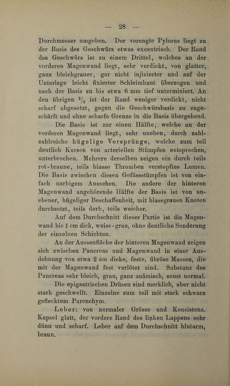 Durchmesser umgeben. Der verengte Pylorus liegt zu der Basis des Geschwürs etwas excentrisch. Der Rand des Geschwürs ist zu einem Drittel, welches an der vorderen Magen wand liegt, sehr verdickt, von glatter, ganz bleicligrauer, gar nicht injizierter und auf der Unterlage leicht fixierter Schleimhaut überzogen und nach der Basis zu bis etwa 6 mm tief unterminiert. An den übrigen 2/3 ist der Rand weniger verdickt, nicht scharf abgesetzt, gegen die Geschwürsbasis zu zuge¬ schärft und ohne scharfe Grenze in die Basis übergehend. Die Basis ist zur einen Hälfte, welche an der vorderen Magenwand liegt, sehr uneben, durch zahl- zahlreiche hügelige YorSprünge, welche zum teil deutlich Kursen von arteriellen Stümpfen entsprechen, unterbrochen. Mehrere derselben zeigen ein durch teils rot-braune, teils blasse Thromben verstopftes Lumen. Die Basis zwischen diesen Gefässstümpfen ist von ein¬ fach narbigem Aussehen. Die andere der hinteren Magenwand angehörende Hälfte der Basis ist von un¬ ebener, hügeliger Beschaffenheit, mit blassgrauen Knoten durchsetzt, teils derb, teils weicher. Auf dem Durchschnitt dieser Partie ist die Magen¬ wand bis 1 cm dick, weiss - grau, ohne deutliche Sonderung der einzelnen Schichten. An der Aussenfläche der hinteren Magenwand zeigen sich zwischen Pancreas und Magenwand in einer Aus¬ dehnung von etwa 2 cm dicke, feste, fibröse Massen, die mit der Magenwand fest verlötet sind. Substanz des Pancreas sehr bleich, grau, ganz anämisch, sonst normal. Die epigastrischen Drüsen sind merklich, aber nicht stark geschwellt. Einzelne zum teil mit stark schwarz geflecktem Parenchym. Leber: von normaler Grösse und Konsistenz. Kapsel glatt, der vordere Rand des linken Lappens sehr dünn und scharf. Leber auf dem Durchschnitt blutarm, braun.