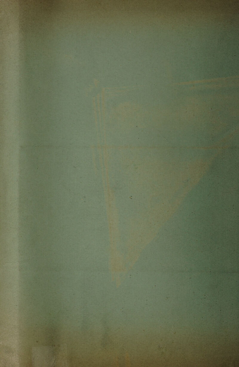 ' ’ • N. V - u. v. * ■ : : • / • y ■