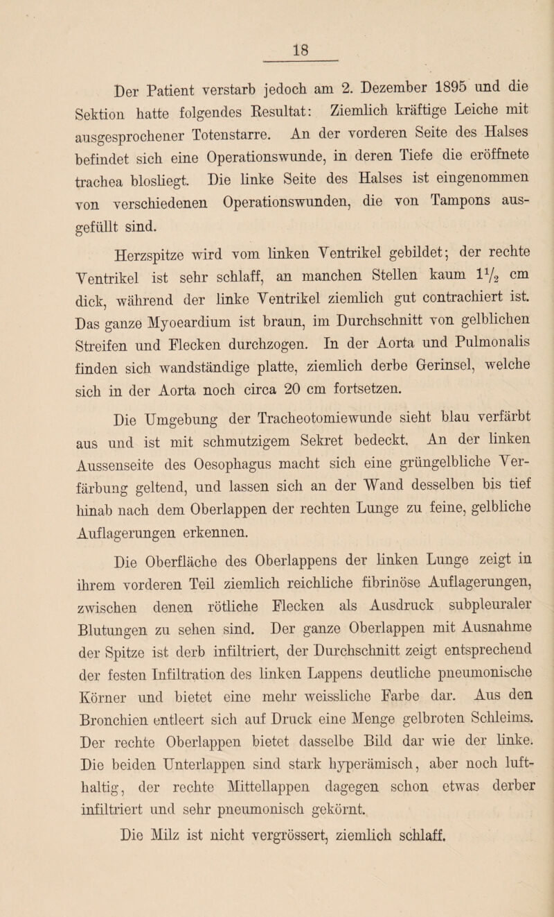 Der Patient verstarb jedoch am 2. Dezember 1895 und die Sektion hatte folgendes Resultat: Ziemlich kräftige Leiche mit ausgesprochener Totenstarre. An der vorderen Seite des Halses befindet sich eine Operationswunde, in deren Tiefe die eröffnete trachea biosliegt. Die linke Seite des Halses ist eingenommen von verschiedenen Operationswunden, die von Tampons aus¬ gefüllt sind. Herzspitze wird vom linken Ventrikel gebildet; der rechte Ventrikel ist sehr schlaff, an manchen Stellen kaum 1V2 cm dick, während der linke Ventrikel ziemlich gut contrachiert ist. Das ganze Myoeardium ist braun, im Durchschnitt von gelblichen Streifen und Flecken durchzogen. In der Aorta und Pulmoualis finden sich wandständige platte, ziemlich derbe Oerinsel, welche sich in der Aorta noch circa 20 cm fortsetzen. Die Umgebung der Tracheotomiewunde sieht blau verfärbt aus und ist mit schmutzigem Sekret bedeckt. An der linken Aussenseite des Oesophagus macht sich eine grüngelbliche Ver¬ färbung geltend, und lassen sich an der Wand desselben bis tief hinab nach dem Oberlappen der rechten Lunge zu feine, gelbliche Auflagerungen erkennen. Die Oberfläche des Oberlappens der linken Lunge zeigt in ihrem vorderen Teil ziemlich reichliche fibrinöse Auflagerungen, zwischen denen rötliche Flecken als Ausdruck subpleuraler Blutungen zu sehen sind. Der ganze Oberlappen mit Ausnahme der Spitze ist derb infiltriert, der Durchschnitt zeigt entsprechend der festen Infiltration des linken Lappens deutliche pneumonische Körner und bietet eine mehr weissliche Farbe dar. Aus den Bronchien entleert sich auf Druck eine Menge gelbroten Schleims. Der rechte Oberlappen bietet dasselbe Bild dar wie der linke. Die beiden Unterlappen sind stark hyperämisch, aber noch luft¬ haltig, der rechte Mittellappen dagegen schon etwas derber infiltriert und sehr pneumonisch gekörnt. Die Milz ist nicht vergrössert, ziemlich schlaff.