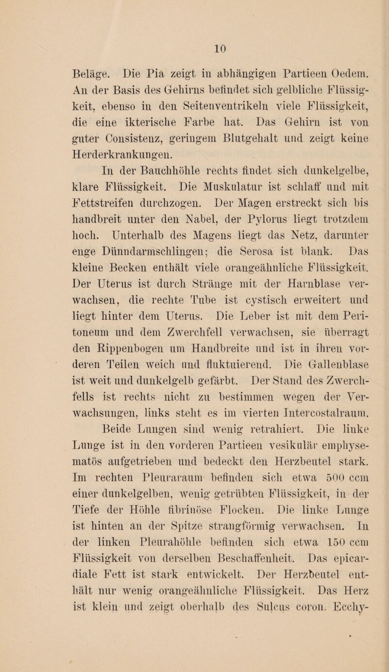 Beläge. Die Pia zeigt in abhängigen Partieen Oedem. An der Basis des Gehirns befindet sich gelbliche Flüssig¬ keit, ebenso in den Seitenventrikeln viele Flüssigkeit, die eine ikterische Farbe hat. Das Gehirn ist von guter Consistenz, geringem Blutgehalt und zeigt keine Herderkranklingen. In der Bauchhöhle rechts findet sich dunkelgelbe, klare Flüssigkeit. Die Muskulatur ist schlaff und mit Fettstreifen durchzogen. Der Magen erstreckt sich bis handbreit unter den Nabel, der Pylorus liegt trotzdem hoch. Unterhalb des Magens liegt das Netz, darunter enge Dünndarmschlingen; die Serosa ist blank. Das kleine Becken enthält viele orangeähnliche Flüssigkeit. Der Uterus ist durch Stränge mit der Harnblase ver¬ wachsen, die rechte Tube ist cystisch erweitert und liegt hinter dem Uterus. Die Leber ist mit dem Peri¬ toneum und dem Zwerchfell verwachsen, sie überragt den Rippenbogen um Handbreite und ist in ihren vor¬ deren Teilen weich und fluktuierend. Die Gallenblase ist weit und dunkelgelb gefärbt. Der Stand des Zwerch¬ fells ist rechts nicht zu bestimmen wegen der Ver¬ wachsungen, links steht es im vierten Intercostalraum. Beide Lungen sind wenig retrahiert. Die linke Lunge ist in den vorderen Partieen vesikulär emphyse¬ matos aufgetrieben und bedeckt den Herzbeutel stark. Im rechten Pleuraraum befinden sich etwa 500 ccm einer dunkelgelben, wenig getrübten Flüssigkeit, in der Tiefe der Höhle fibrinöse Flocken. Die linke Lunge ist hinten an der Spitze strangförmig verwachsen. In der linken Pleurahöhle befinden sich etwa 150 ccm Flüssigkeit von derselben Beschaffenheit. Das epicar- diale Fett ist stark entwickelt. Der Herzbeutel ent¬ hält nur wenig orangeähnliche Flüssigkeit. Das Herz ist klein und zeigt oberhalb des Sulcus coron. Eceliy-