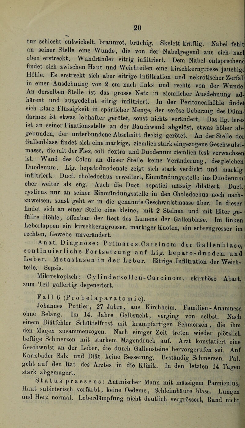 tur schlecht entwickelt, braunrot, brüchig. Skelett kräftig. Nabel fehlt an seiner Stelle eine Wunde, die von der Nabelgegend aus sich nacl oben erstreckt. Wundränder eitrig infiltriert. Dem Nabel entsprechend findet sich zwischen Haut und Weichteilen eine kirschkerngrosse jauchige Höhle. Es erstreckt sich aber eitrige Infiltration und nekrotischer Zerfall in einer Ausdehnung von 2 cm nach links und rechts von der Wunde! An derselben Stelle ist das grosse Netz in ziemlicher Ausdehnung ad-^ härent und ausgedehnt eitrig infiltriert. In der Peritonealhöhle findet sieh klare Flüssigkeit in spärlicher Menge, der seröse Ueberzug des Dünn¬ darmes ist etwas lebhafter gerötet, sonst nichts verändert. Das lig. teres ist an seiner Fixationsstelle an der Bauchwand abgelöst, etwas höher ab-i gebunden, der unterbundene Abschnitt fleckig gerötet. An der Stelle der Gallenblase findet sich eine markige, ziemlich stark eingezogene Geschwulst-i masse, die mit der Flex. coli dextra und Duodenum ziemlich fest verwachsen ist. Wand des Colon an dieser Stelle keine Veränderung, desgleichen Duodenum. Lig. hepatoduodenale zeigt sich stark verdickt und markig infiltriert. Duct. choledochus erweitert, Einmündungsstelle ins Duodenum! eher weiter als eng. Auch die Duct. hepatici massig diktiert. Duct. cysticus nur an seiner Einmündungsstelle in den Choledochus noch nach¬ zuweisen, sonst geht er in die genannte Geschwulstmasse über. In dieser findet sich an einer Stelle eine kleine, mit 2 Steinen und mit Eiter ge¬ füllte Höhle, offenbar der Rest des Lumens der Gallenblase. Im linken Leberlappen ein kirschkerngrosser, markiger Knoten, ein erbsengrosser im rechten, Gewebe unverändert. Anat. Diagnose: Primäres Carcinom der Gallenblase, continuierliche Fortsetzung auf Lig. hepato-duoden. und Leber. Metastasen in der Leber. Eitrige Infiltration der Weicii- teile. Sepsis. Mikroskopisch: Cylinderzellen-Carcinom, skirrhöse Abart, zum Teil gallertig degeneriert. Fall 6 (Probelaparatomie). Johannes Puttier, 27 Jahre, aus Kirchheim. Familien-Anamnese ohne Belang. Im 14. Jahre Gelbsucht, verging von selbst. Nach einem Diätfehler Schüttelfrost mit krampfartigen Schmerzen, die ihm den Magen zusammenzogen. Nach einiger Zeit treten wieder plötzlich heftige Schmerzen mit starkem Magendruck , auf. Arzt konstatiert eine Geschwulst an der Leber, die durch Gallensteine hervorgerufen sei. Auf Kailsbader Salz und Diät keine Besserung. Beständig Schmerzen. Pat. geht auf den Rat des Arztes in die Klinik. In den letzten 14 Tagen stark abgemagert. Status praesens: Anämischer Mann mit massigem Panniculus, Haut subicterisch verfärbt, keine Oedeme, Schleimhäute blass. Lungen und Herz normal. Leberdämpfung nicht deutlich vergrössert, Rand nicht