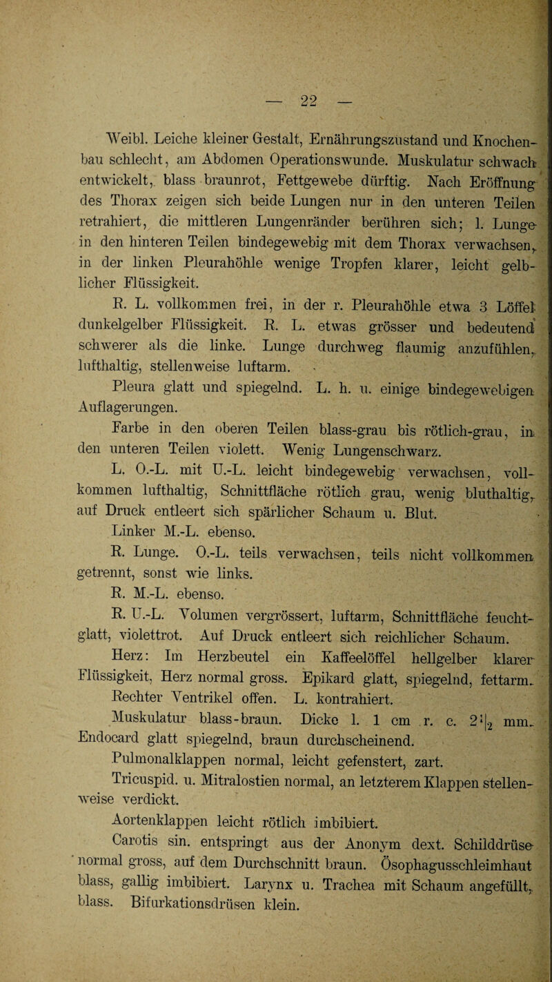 Weibl. Leiche kleiner Grestalt, Ernährungszustand und Knochen¬ bau schlecht, am Abdomen Operationswunde. Muskulatur schwach entwickelt, blass braunrot, Fettgewebe dürftig. Nach Eröffnung des Thorax zeigen sich beide Lungen nur in den unteren Teilen retrahiert, die mittleren Lungenränder berühren sich; 1. Lunge¬ rn den hinteren Teilen bindegewebig mit dem Thorax verwachsen, in der linken Pleurahöhle wenige Tropfen klarer, leicht gelb¬ licher Flüssigkeit. E. L. vollkommen frei, in der r. Pleurahöhle etwa 3 Löffel dunkelgelber Flüssigkeit. R. L. etwas grösser und bedeutend schwerer als die linke. Lunge durchweg flaumig anzufühlen, lufthaltig, stellenweise luftarm. Pleura glatt und spiegelnd. L. h. u. einige bindegewebigen Auflagerungen. Farbe in den oberen Teilen blass-grau bis rötlich-grau, in den unteren Teilen violett. Wenig Lungenschwarz. L. O.-L. mit U.-L. leicht bindegewebig verwachsen, voll¬ kommen lufthaltig, Schnittfläche rötlich grau, wenig bluthaltig, auf Druck entleert sich spärlicher Schaum u. Blut. Linker M.-L. ebenso. R. Lunge. O.-L. teils verwachsen, teils nicht vollkommen getrennt, sonst wie links. R. M.-L. ebenso. R. U.-L. Volumen vergrössert, luftarm, Schnittfläche feucht¬ glatt, violettrot. Auf Druck entleert sich reichlicher Schaum. Herz: Im Herzbeutel ein Kaffeelöffel hellgelber klarer Flüssigkeit, Herz normal gross. Epikard glatt, spiegelnd, fettarm. Rechter Ventrikel offen. L. kontrahiert. Muskulatur blass-braun. Dicke 1. 1 cm r. c. 2J|2 mm. Endocard glatt spiegelnd, braun durchscheinend. Pulmonal klappen normal, leicht gefenstert, zart. Tricuspid. u. Mitralostien normal, an letzterem Klappen stellen¬ weise verdickt. Aortenklappen leicht rötlich imbibiert. Carotis sin. entspringt aus der Anonym dext. Schilddrüse' normal gross, auf dem Durchschnitt braun. Ösophagusschleimhaut blass, gallig imbibiert. Larynx u. Trachea mit Schaum angefüllt,, blass. Bifurkationsdrüsen klein.