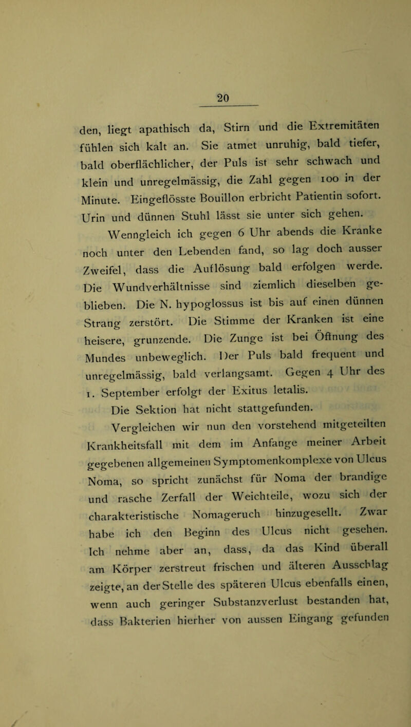 den, liegt apathisch da, Stirn und die Extremitäten fühlen sich kalt an. Sie atmet unruhig, bald tiefer, bald oberflächlicher, der Puls ist sehr schwach und klein und unregelmässig, die Zahl gegen ioo in der Minute. Eingeflösste Bouillon erbricht Patientin sofort. Urin und dünnen Stuhl lässt sie unter sich gehen. Wenngleich ich gegen 6 Uhr abends die Kranke noch unter den Lebenden fand, so lag doch ausser Zweifel, dass die Auflösung bald erfolgen werde. Die W undverhältnisse sind ziemlich dieselben ge¬ blieben. Die N. hypoglossus ist bis auf einen dünnen Strang zerstört. Die Stimme der Kranken ist eine heisere, grunzende. Die Zunge ist bei Öffnung des Mundes unbeweglich. Der Puls bald frequent und unregelmässig, bald verlangsamt. Gegen 4 Uhr des 1. September erfolgt der Exitus letalis. Die Sektion hat nicht stattgefunden. Vergleichen wir nun den vorstehend mitgeteilten Krankheitsfall mit dem im Anfänge meiner Arbeit gegebenen allgemeinen Symptomenkomplexe von Ulcus Noma, so spricht zunächst für Noma der brandige und rasche Zerfall der Weichteile, wozu sich der charakteristische Nomageruch hinzugesellt. Zwar habe ich den Beginn des Ulcus nicht gesehen. Ich nehme aber an, dass, da das Kind überall am Körper zerstreut frischen und älteren Ausschlag zeigte, an derStelle des späteren Ulcus ebenfalls einen, wenn auch geringer Substanzverlust bestanden hat, dass Bakterien hierher von aussen Eingang gefunden