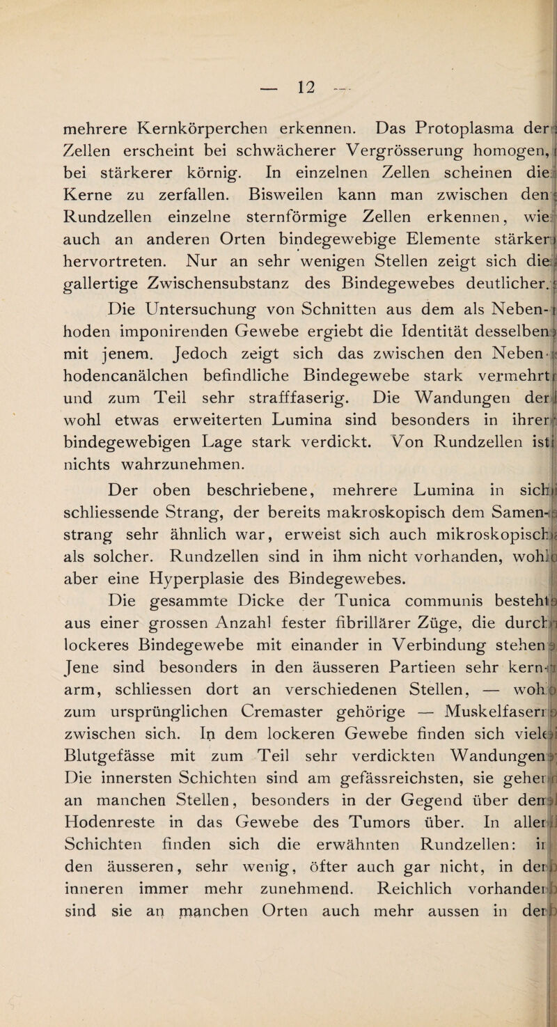 mehrere Kernkörperchen erkennen. Das Protoplasma der Zellen erscheint bei schwächerer Vergrösserung homogen, t bei stärkerer körnig. In einzelnen Zellen scheinen die Kerne zu zerfallen. Bisweilen kann man zwischen den; Rundzellen einzelne sternförmige Zellen erkennen, wie auch an anderen Orten bindegewebige Elemente stärker) hervortreten. Nur an sehr wenigen Stellen zeigt sich die ] gallertige Zwischensubstanz des Bindegewebes deutlicher, :i Die Untersuchung von Schnitten aus dem als Neben-1 hoden imponirenden Gewebe ergiebt die Identität desselben? mit jenem. Jedoch zeigt sich das zwischen den Neben ?: hodencanälchen befindliche Bindegewebe stark vermehrt r und zum Teil sehr strafffaserig. Die Wandungen der ! wohl etwas erweiterten Lumina sind besonders in ihrer bindegewebigen Lage stark verdickt. Von Rundzellen ist nichts wahrzunehmen. Der oben beschriebene, mehrere Lumina in sieht* schliessende Strang, der bereits makroskopisch dem Samen-?:; sträng sehr ähnlich war, erweist sich auch mikroskopisch)] als solcher. Rundzellen sind in ihm nicht vorhanden, wohin aber eine Hyperplasie des Bindegewebes. Die gesammte Dicke der Tunica communis besteht9 aus einer grossen Anzahl fester fibrillärer Züge, die durchn lockeres Bindegewebe mit einander in Verbindung stehen ? lene sind besonders in den äusseren Partieen sehr kern- ? arm, schliessen dort an verschiedenen Stellen, — woh zum ursprünglichen Cremaster gehörige — Muskelfasern) zwischen sich. In dem lockeren Gewebe finden sich vielt ü Blutgefässe mit zum Teil sehr verdickten Wandungen? Die innersten Schichten sind am gefässreichsten, sie gehet > an manchen Stellen, besonders in der Gegend über derr?l Hodenreste in das Gewebe des Tumors über. In aller Schichten finden sich die erwähnten Rundzellen: ii den äusseren, sehr wenig, öfter auch gar nicht, in der inneren immer mehr zunehmend. Reichlich vorhanden sind sie an manchen Orten auch mehr aussen in der