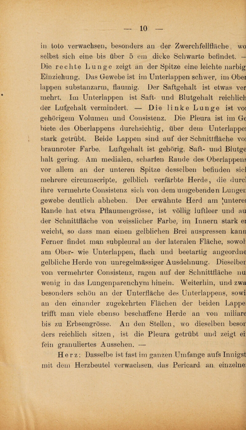 in toto verwachsen, besonders an der Zwerchfellfläche, wo selbst sich eine bis über 5 cm dicke Schwarte befindet. — Die rechte Lunge zeigt an der Spitze eine leichte narbig Einziehung. Das Gewebe ist im Unterlappen schwer, im Obei lappen substanzarm, flaumig. Der Saftgehalt ist etwas ver mehrt. Im Unterlappen ist Saft- und Blutgehalt reichlich der Lufgehalt vermindert. — Die linke Lunge ist voi gehörigem Volumen und Consistenz. Die Pleura ist im Ge biete des Oberlappens durchsichtig, über dem Unterlappe] stark getrübt. Beide Lappen sind auf der Schnittfläche voi braunroter Farbe. Luftgehalt ist gehörig, Saft- und Blutge halt gering. Am medialen, scharfen Rande des Oberlappens vor allem an der unteren Spitze desselben befinden siel mehrere circumscripte, gelblich verfärbte Herde, die durcl ihre vermehrte Consistenz sich von dem umgebenden Lungen gewebe deutlich abheben. Der erwähnte Herd am Junterei Rande hat etwa Pflaumengrösse, ist völlig luftleer und au der Schnittfläche von weisslieher Farbe, im Innern stark ei weicht, so dass man einen gelblichen Brei auspressen kann Ferner findet man subpleural an der lateralen Fläche, sowol: am Ober- wie Unterlappen, flach und beetartig angeorclne gelbliche Herde von unregelmässiger Ausdehnung. Dieselbei; von vermehrter Consistenz, ragen auf der Schnittfläche nu wenig in das Lungenparenchym hinein. Weiterhin, und zwa besonders schön an der Unterfläche des Unterlappens, sowi an den einander zugekehrten Flächen der beiden Lappe: trifft man viele ebenso beschaffene Herde an von miliare bis zu Erbsengrösse. An den Stellen, wo dieselben beson ders reichlich sitzen, ist die Pleura getrübt und zeigt ei: fein granuliertes Aussehen. — Herz: Dasselbe ist fast im ganzen Umfange aufs Innigst mit dem Herzbeutel verwachsen, das Pericard an einzelne: