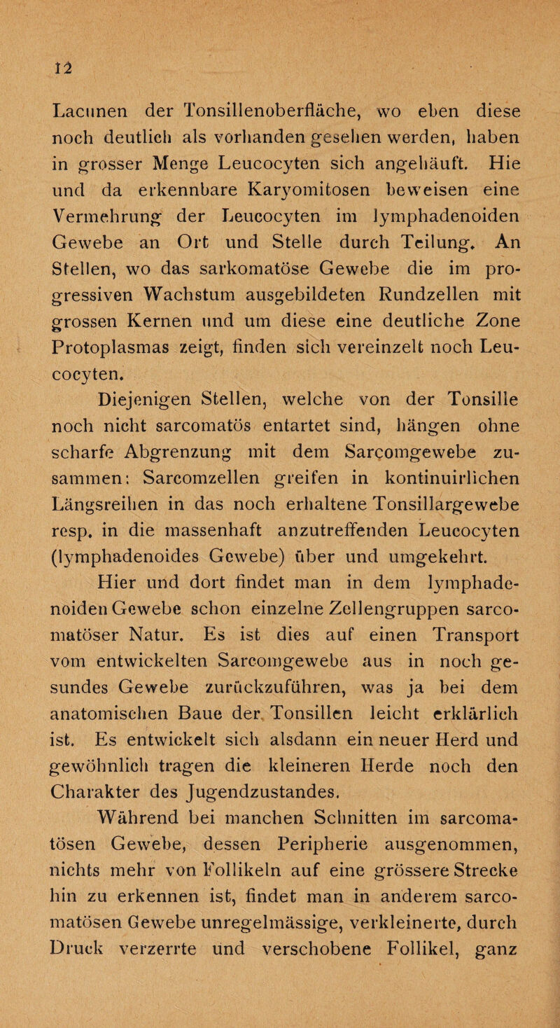 Lacunen der Tonsillenoberfläche, wo eben diese noch deutlich als vorhanden gesellen werden, haben in grosser Menge Leucocyten sich angehäul't. Hie und da erkennbare Karyomitosen beweisen eine Vermehrung der Leucocyten im lymphadenoiden Gewebe an Ort und Stelle durch Teilung* An Stellen, wo das sarkomatöse Gewebe die im pro¬ gressiven Wachstum ausgebildeten Rundzellen mit grossen Kernen und um diese eine deutliche Zone Protoplasmas zeigt, finden steh vereinzelt noch Leu¬ cocyten. Diejenigen Stellen, welche von der Tonsille noch nicht sarcomatös entartet sind, hängen ohne scharfe Abgrenzung mit dem Sarcomgewebe zu¬ sammen: Sarcomzellen greifen in kontinuirlichen Längsreihen in das noch erhaltene Tonsillargewebe resp. in die massenhaft anzutreffenden Leucocyten (lymphadenoides Gewebe) über und umgekehrt. Hier und dort findet man in dem lymphade¬ noiden Gewebe schon einzelne Zellengruppen sarco- matöser Natur. Es ist dies auf einen Transport vom entwickelten Sarcomgewebe aus in noch ge¬ sundes Gewebe zurückzuführen, was ja bei dem anatomischen Baue der Tonsillen leicht erklärlich ist. Es entwickelt sich alsdann ein neuer Herd und gewöhnlich tragen die kleineren Herde noch den Charakter des Jugendzustandes. Während bei manchen Schnitten im sarcoma- tösen Gewebe, dessen Peripherie ausgenommen, nichts mehr von Follikeln auf eine grössere Strecke hin zu erkennen ist, findet man in anderem sarco- matösen Gewebe unregelmässige, verkleinerte, durch Druck verzerrte und verschobene Follikel, ganz