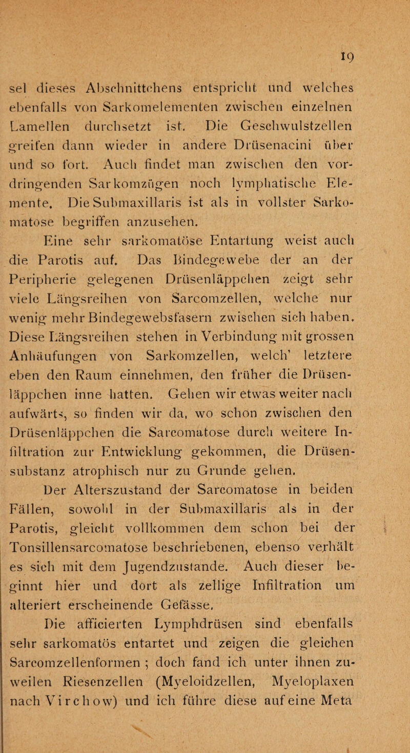 sei dieses Abschnittchens entspricht und welches ebenfalls von Sarkomelementen zwischen einzelnen Lamellen durchsetzt ist. Die Geschwulstzellen greifen dann wieder in andere Drüsenacini über und so fort. Auch findet man zwischen den vor¬ dringenden Sarkomzügen noch lymphatische Ele¬ mente. Die Submaxillaris ist als in vollster Sarko- matose begriffen anzusehen. Eine sehr sarkomatöse Entartung weist auch die Parotis auf. Das Bindegewebe der an der Peripherie gelegenen Drüsenläppchen zeigt sehr viele Längsreihen von Sarcomzellen, welche nur wenig mehr Bindegewebsfasern zwischen sich haben. Diese Längsreihen stehen in Verbindung mit grossen Anhäufungen von Sarkomzellen, welch’ letztere eben den Raum einnehmen, den früher die Drüsen- läppchen inne hatten. Gehen wir etwas weiter nach aufwärts, so finden wir da, wo schon zwischen den Drüsenläppchen die Sarcomatose durch weitere In¬ filtration zur Entwicklung gekommen, die Drüsen¬ substanz atrophisch nur zu Grunde gehen. Der Alterszustand der Sarcomatose in beiden Fällen, sowohl in der Submaxillaris als in der Parotis, gleicht vollkommen dem schon bei der Tonsillensarcomatose beschriebenen, ebenso verhält es sich mit dem Jugendzustande. Auch dieser be¬ ginnt hier und dort als zellige Infiltration um alteriert erscheinende Gefässe, Die afficierten Lymphdrüsen sind ebenfalls sehr sarkomatös entartet und zeigen die gleichen Sarcomzellenformen ; doch fand ich unter ihnen zu¬ weilen Riesenzellen (Myeloidzellen, Myeloplaxen nachVirchow) und ich führe diese auf eine Meta