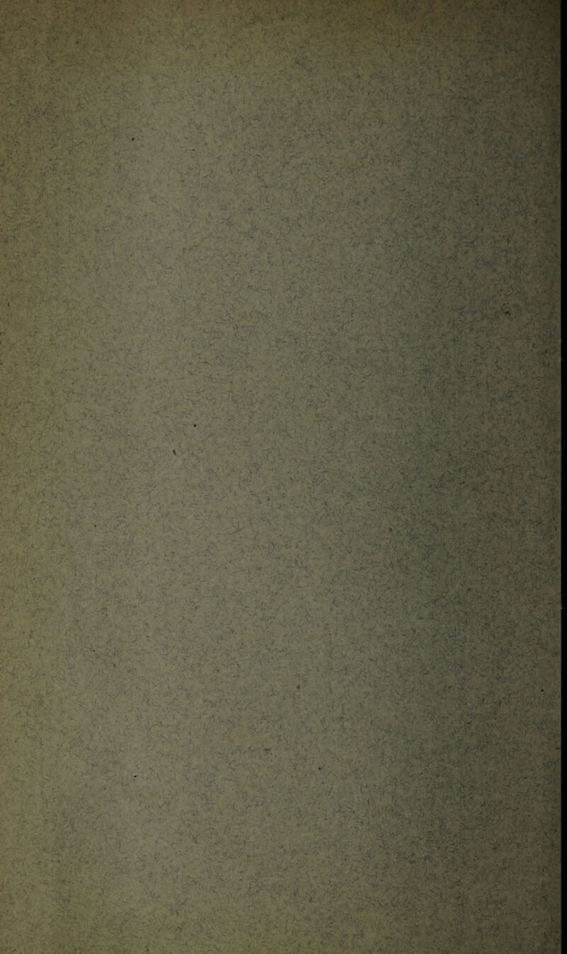 /V ' ’ •• •• .w ' ,c \ y 'n, j, ' . ■?!>,;; o. ■/ *-••:'■ J: ■ '.. rrc ij®« ' 1