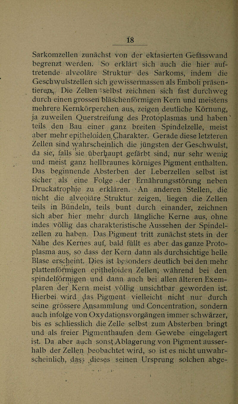 Sarkomzellen zunächst von der ektasierten Gefässwand begrenzt werden. So erklärt sich auch die hier auf¬ tretende alveoläre Struktur des Sarkoms, indem die Geschwulstzellen sich gewissermassen als Emboli präsen¬ tiere^. Die Zellen ‘i selbst zeichnen sich fast durchweg durch einen grossen blästhenförmigen Kern und meistens mehrere Kernkörperchen aus, zeigen deutliche Körnung, ja zuweilen Querstreifung des Protoplasmas und haben' teils den Bau einer ganz breiten Spindelzelle, meist aber mehr epitheloiden Charakter. Gerade diese letzteren Zellen sind wahrscheinlich die jüngsten der Geschwulst, da sie, falls sie überhaupt gefärbt sind, nur sehr wenig und meist ganz hellbraunes körniges Pigment enthalten. Das beginnende Absterben der Leberzellen selbst ist sicher , als eine Folge * der Ernährungsstörung neben Druckatrophie zu erklären. 'An anderen Stellen, die nicht die alveoläre Struktur zeigen, liegen die Zellen teils in Bündeln, teils bunt durch einander, zeichnen sich aber hier mehr durch längliche Kerne aus, ohne indes völlig das charakteristische Aussehen der Spindel¬ zellen zu haben. Das. Pigment tritt zunächst stets in der Nähe des Kernes, auf, bald füllt es aber das ganze Proto¬ plasma aus, so dass der Kern dann als durchsichtige helle Blase erscheint. Dies ist besonders deutlich beiden mehr plattenförmigen epitheloiden Zellen, während bei den spindelförmigen und dann auch bei allen älteren Exem¬ plaren der Kern meist völlig unsichtbar geworden ist Hierbei wird das Pigment vielleicht nicht nur durch seine grössere Ansammlung und Concentration, sondern auch infolge von OxydationsVorgängen immer schwärzer, bis es schliesslich die Zelle selbst zum Absterben bringt und als freier Pigmenthaufen dem Gewebe eingelagert ist. Da aber auch sonst Ablagerung von Pigment ausser¬ halb der Zellen beobachtet wird, so ist es nicht unwahr¬ scheinlich, dass .dieses seinen Ursprung solchen abge-