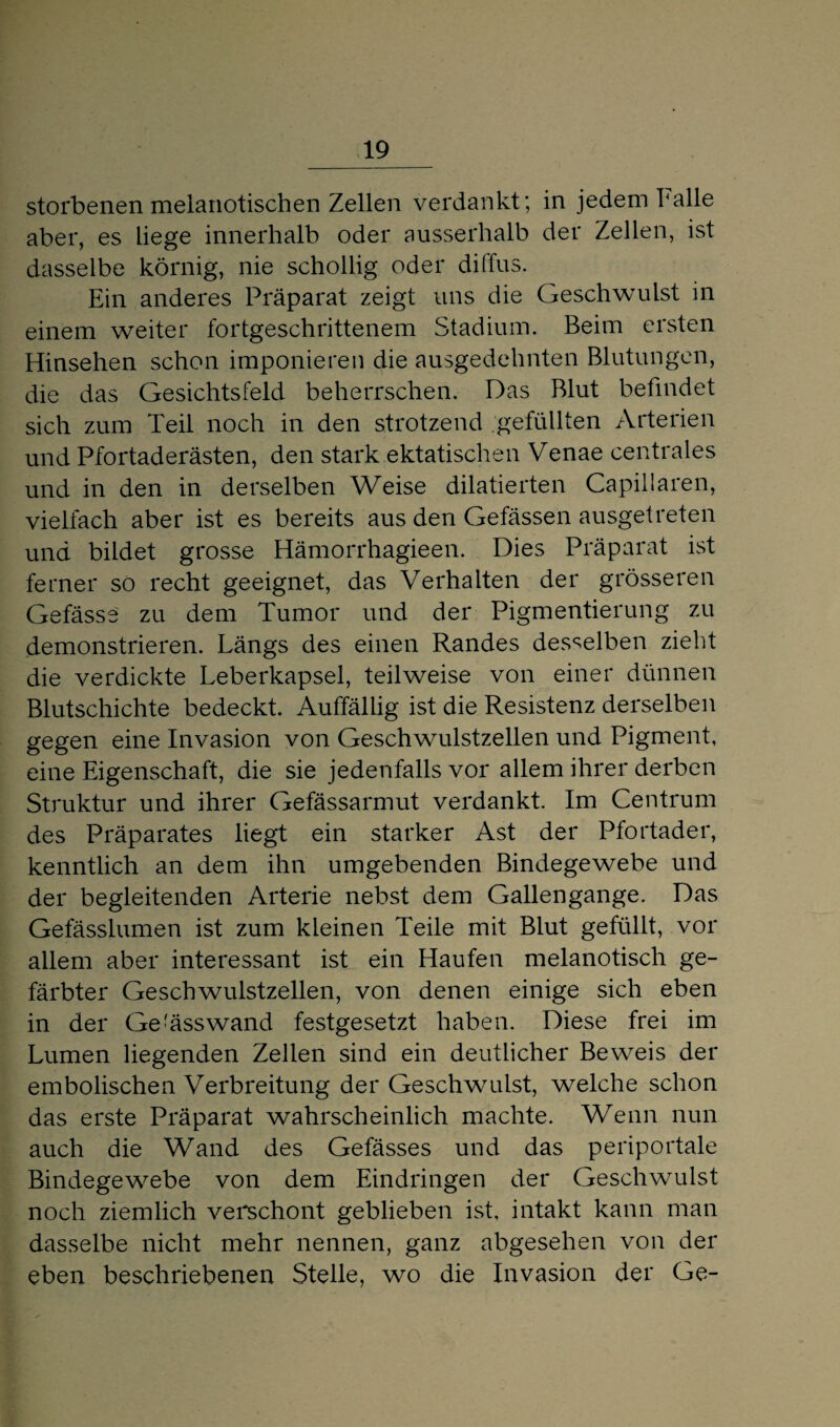 storbenen melanotischen Zellen verdankt; in jedem balle aber, es liege innerhalb oder ausserhalb der Zellen, ist dasselbe körnig, nie schollig oder diffus. Ein anderes Präparat zeigt uns die Geschwulst in einem weiter fortgeschrittenem Stadium. Beim ersten Hinsehen schon imponieren die ausgedehnten Blutungen, die das Gesichtsfeld beherrschen. Das Blut befindet sich zum Teil noch in den strotzend gefüllten Arterien und Pfortaderästen, den stark ektatischen Venae centrales und in den in derselben Weise dilatierten Capillaren, vielfach aber ist es bereits aus den Gefässen ausgetreten und bildet grosse Hämorrhagieen. Dies Präparat ist ferner so recht geeignet, das Verhalten der grösseren Gefässe zu dem Tumor und der Pigmentierung zu demonstrieren. Längs des einen Randes desselben zieht die verdickte Leberkapsel, teilweise von einer dünnen Blutschichte bedeckt. Auffällig ist die Resistenz derselben gegen eine Invasion von Geschwulstzellen und Pigment, eine Eigenschaft, die sie jedenfalls vor allem ihrer derben Struktur und ihrer Gefässarmut verdankt. Im Centrum des Präparates liegt ein starker Ast der Pfortader, kenntlich an dem ihn umgebenden Bindegewebe und der begleitenden Arterie nebst dem Gallengange. Das Gefässlumen ist zum kleinen Teile mit Blut gefüllt, vor allem aber interessant ist ein Haufen melanotisch ge¬ färbter Geschwulstzellen, von denen einige sich eben in der Gemäss wand festgesetzt haben. Diese frei im Lumen liegenden Zellen sind ein deutlicher Beweis der embolischen Verbreitung der Geschwulst, welche schon das erste Präparat wahrscheinlich machte. Wenn nun auch die Wand des Gefässes und das periportale Bindegewebe von dem Eindringen der Geschwulst noch ziemlich verschont geblieben ist, intakt kann man dasselbe nicht mehr nennen, ganz abgesehen von der eben beschriebenen Stelle, wo die Invasion der Ge-